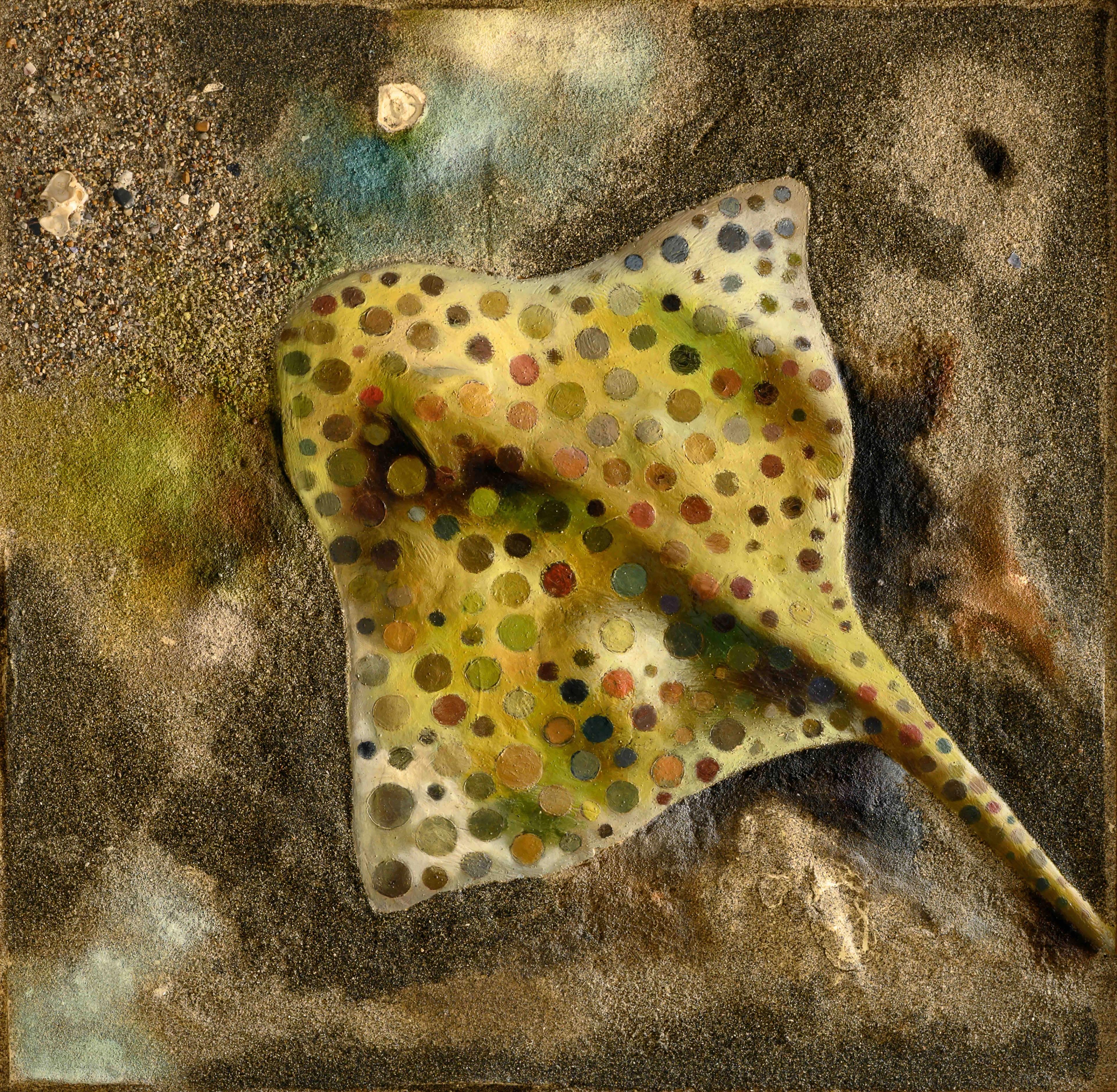 Razza