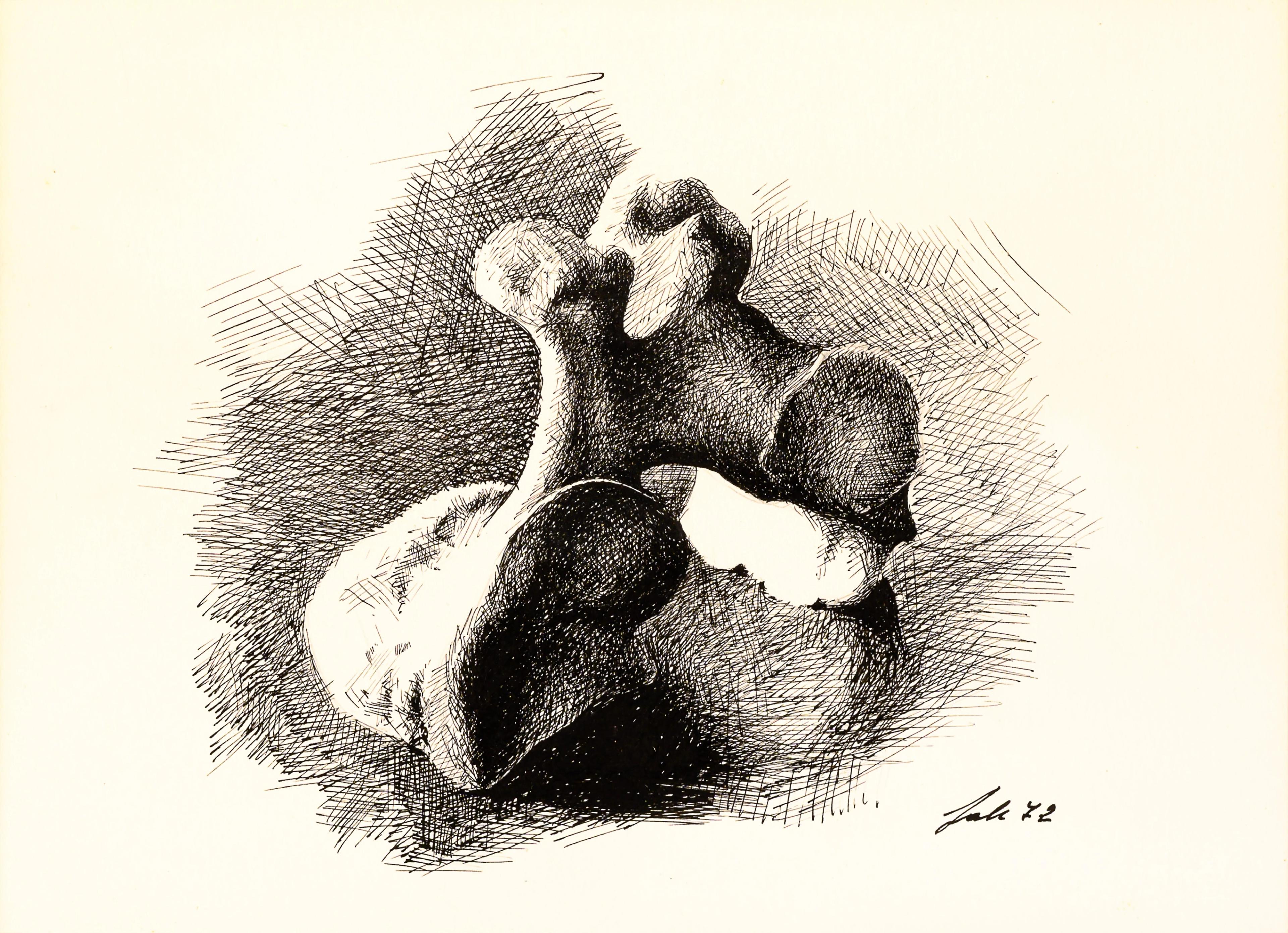 Studio d'osso
