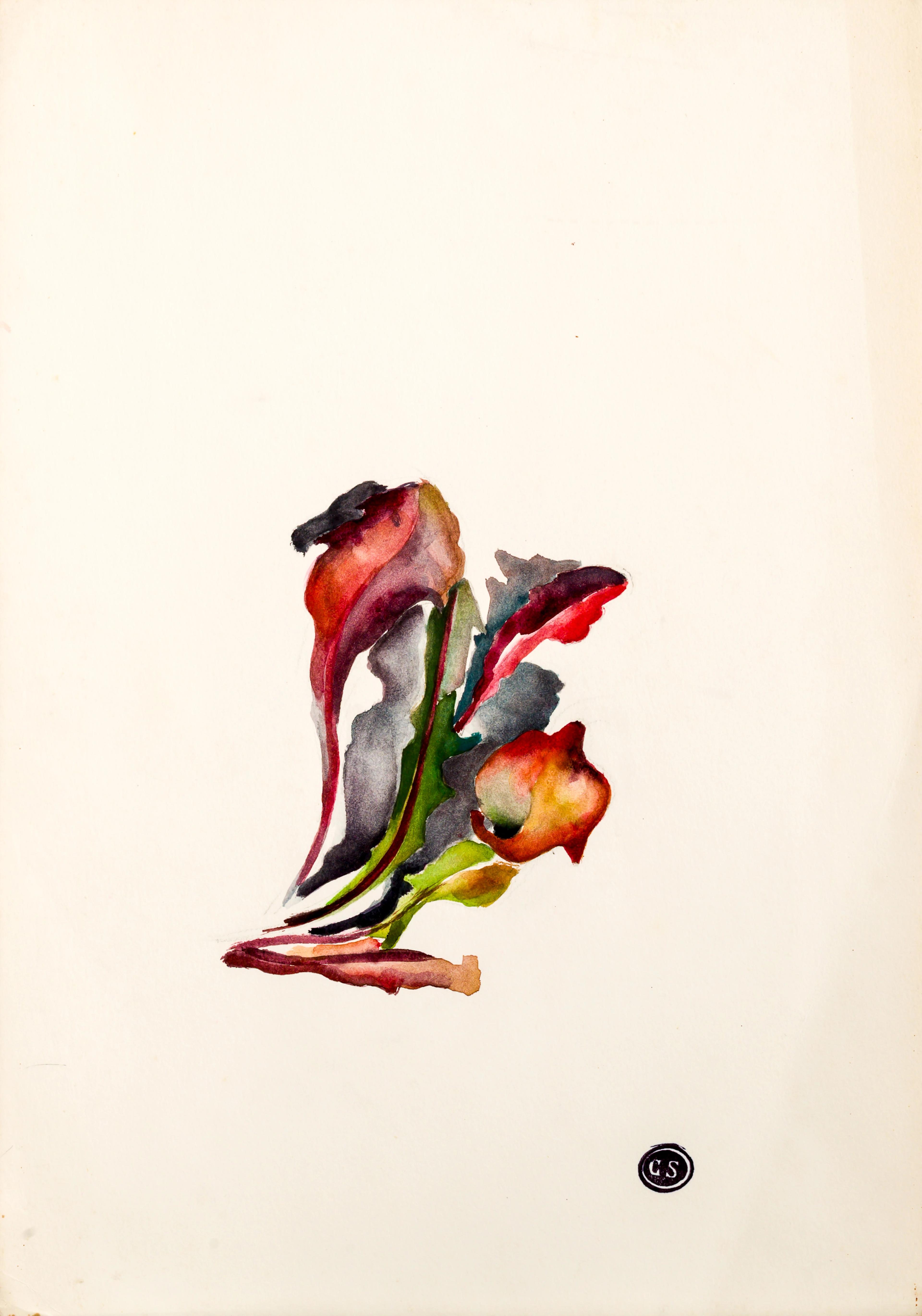 Studio di foglie