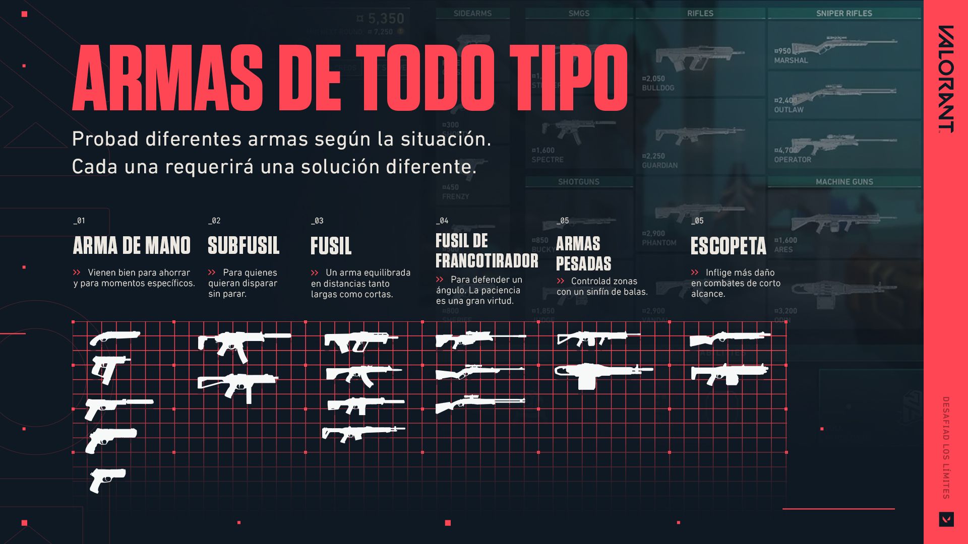 Guía para principiantes