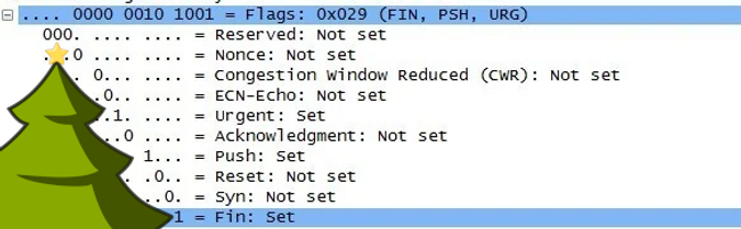 A Christmas Tree appears over the packet flags in Wireshark