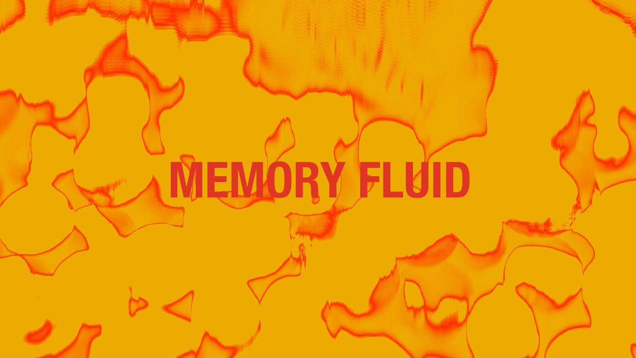 Memory fluid
