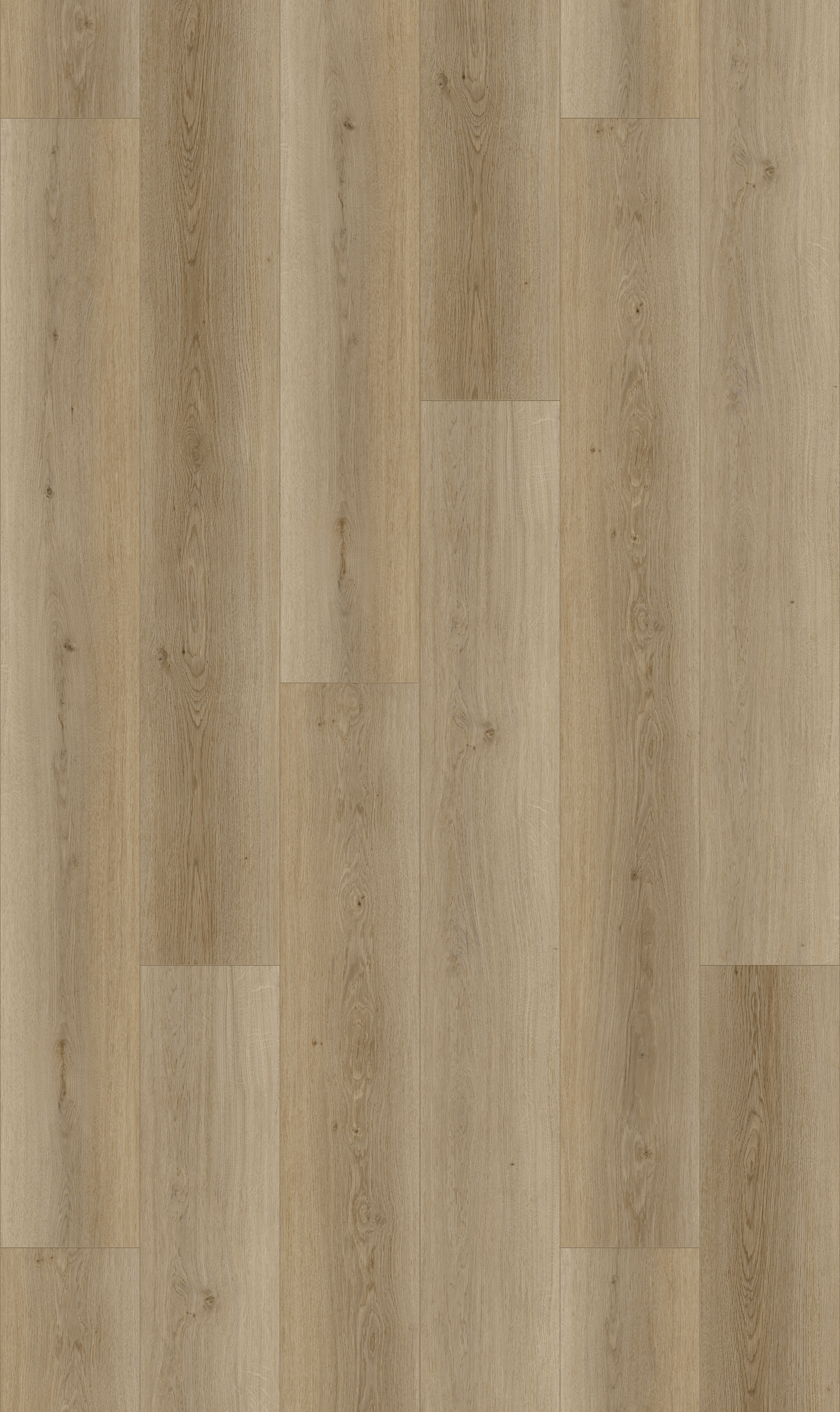 Soft Natural detail visual 4