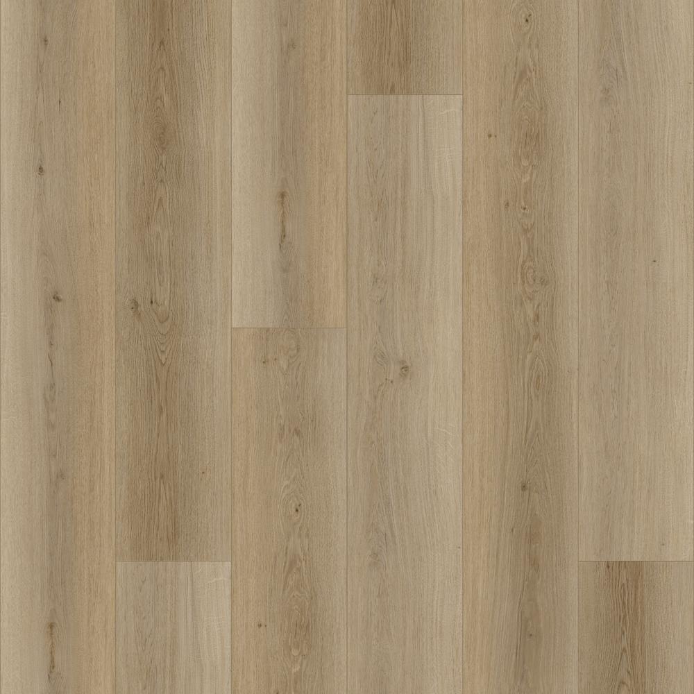 Soft Natural detail visual 4