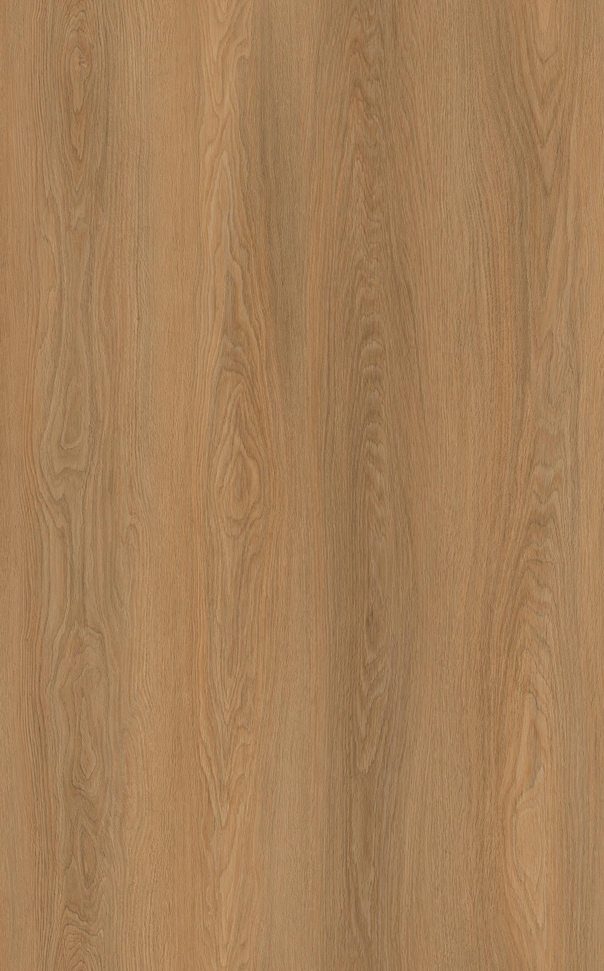 Onyx Oak detail visual 3