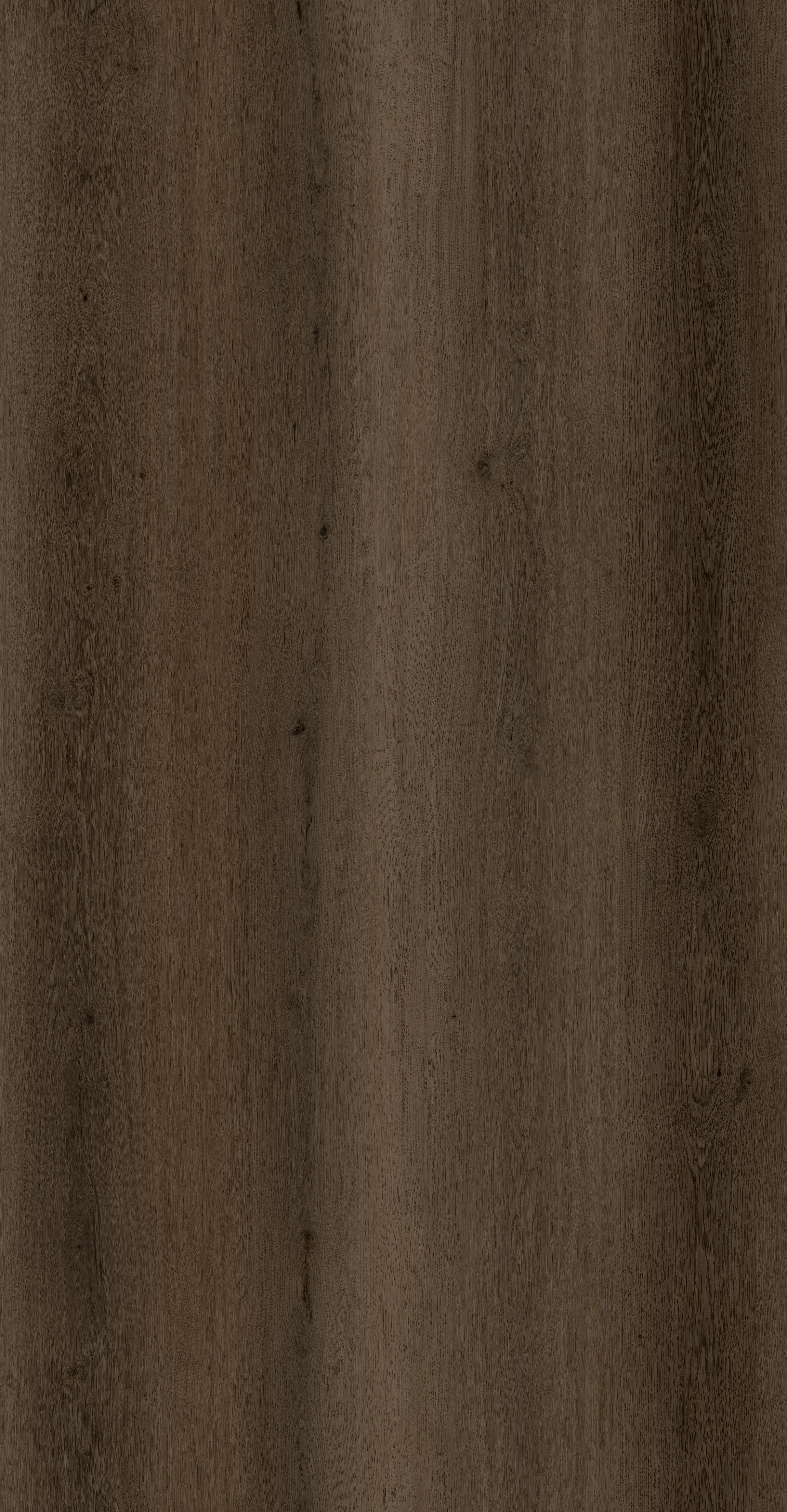 Dark Natural detail visual 3