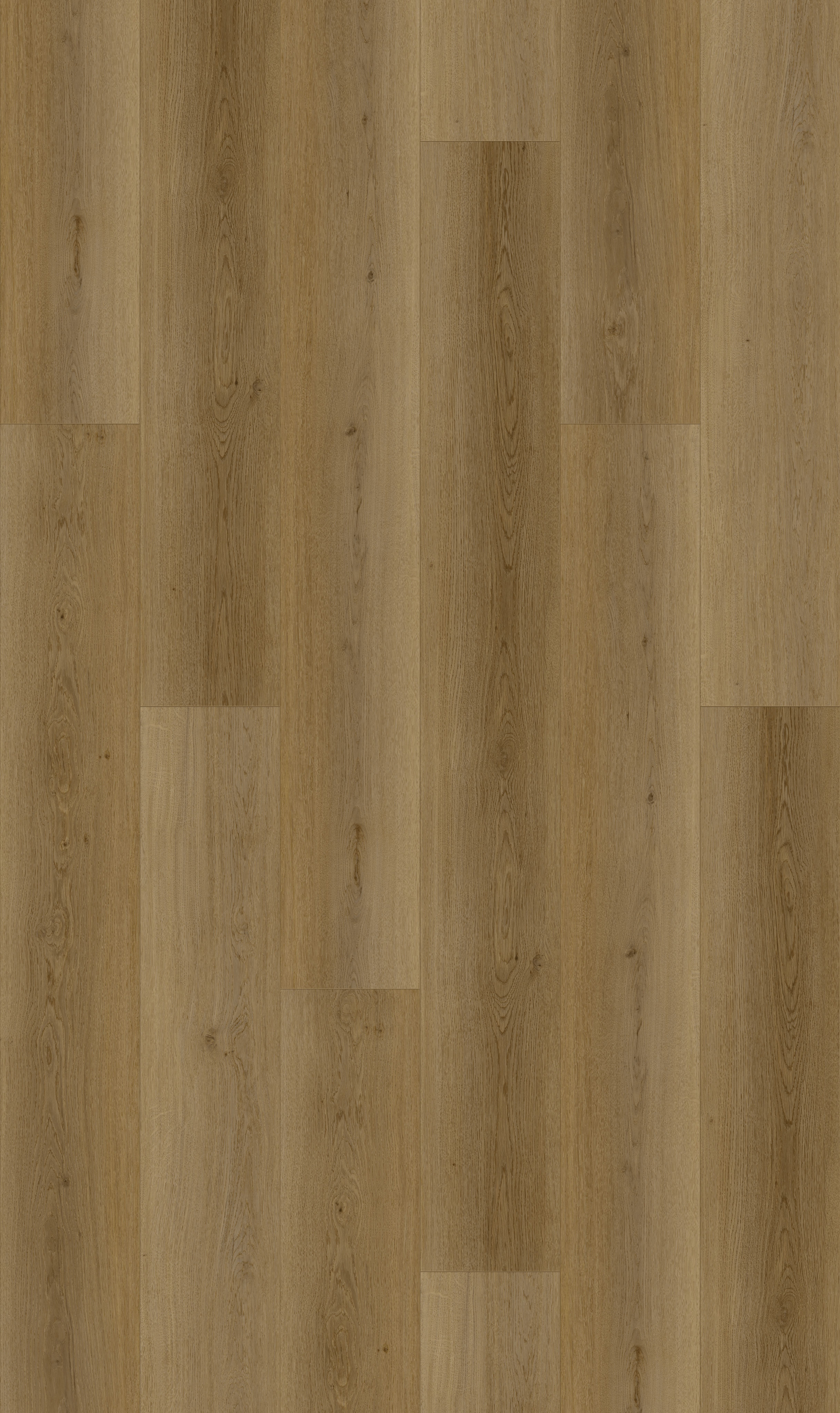 Pure Natural detail visual 4