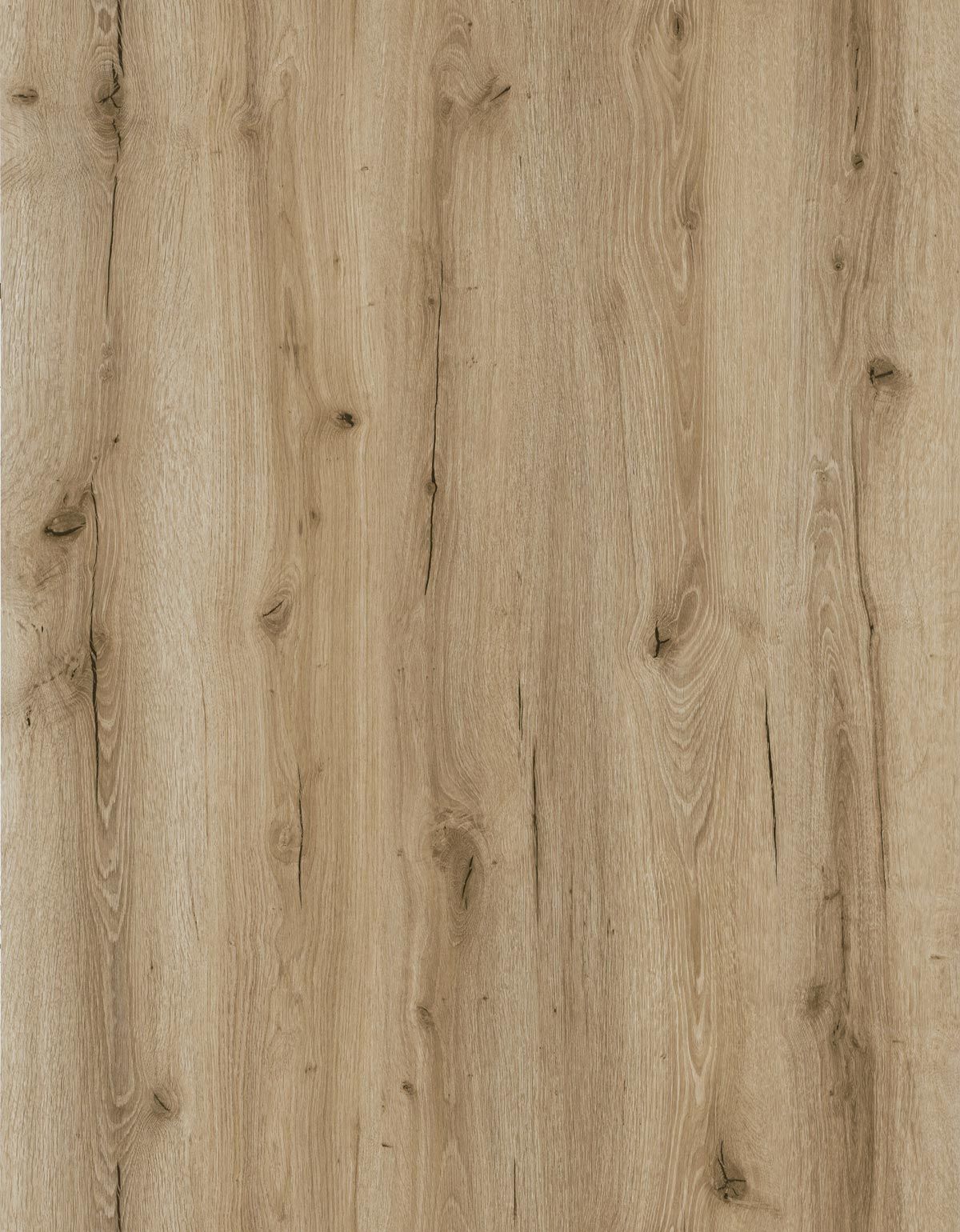 Harvest Oak detail visual 3