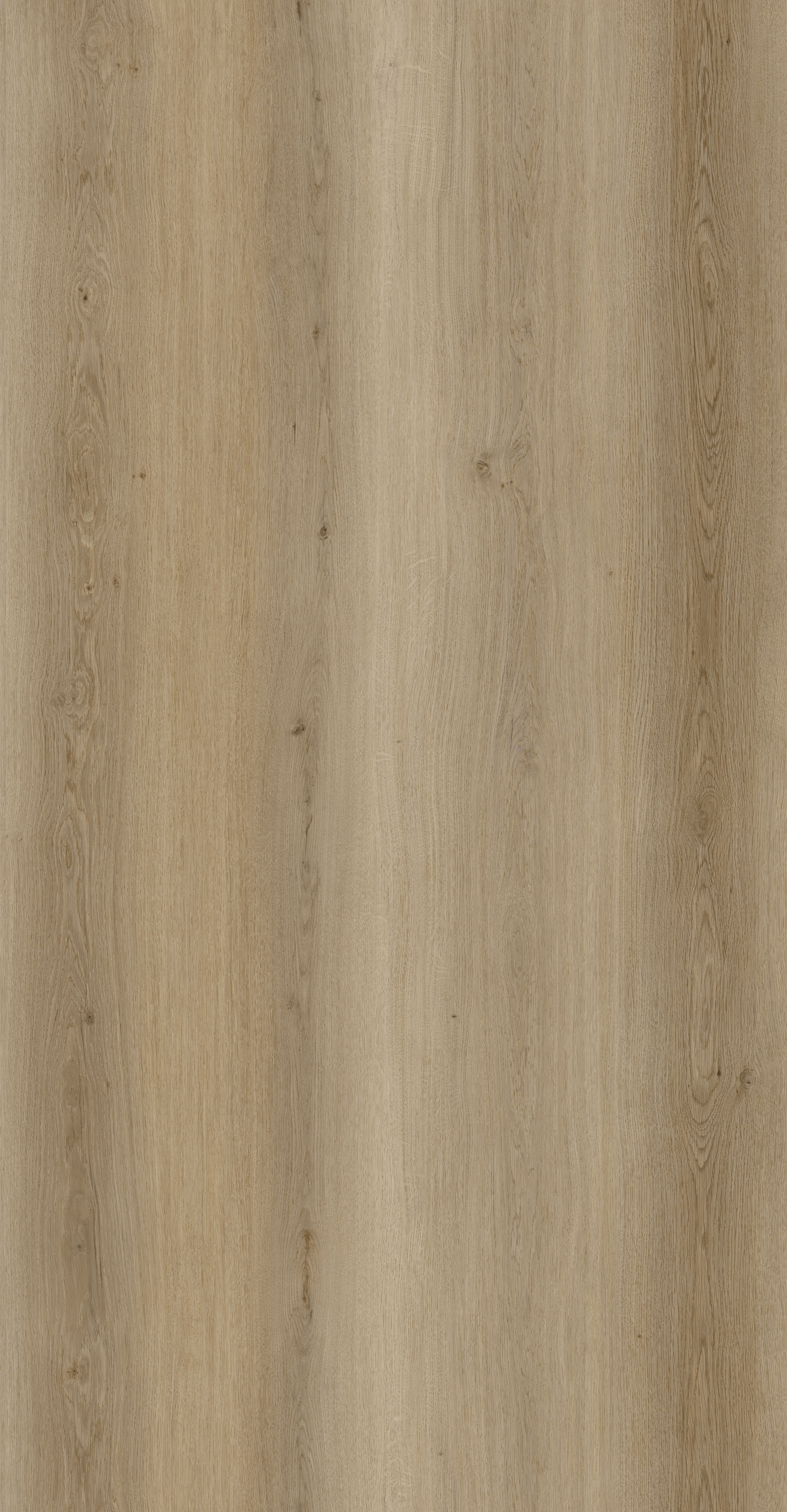 Soft Natural detail visual 3