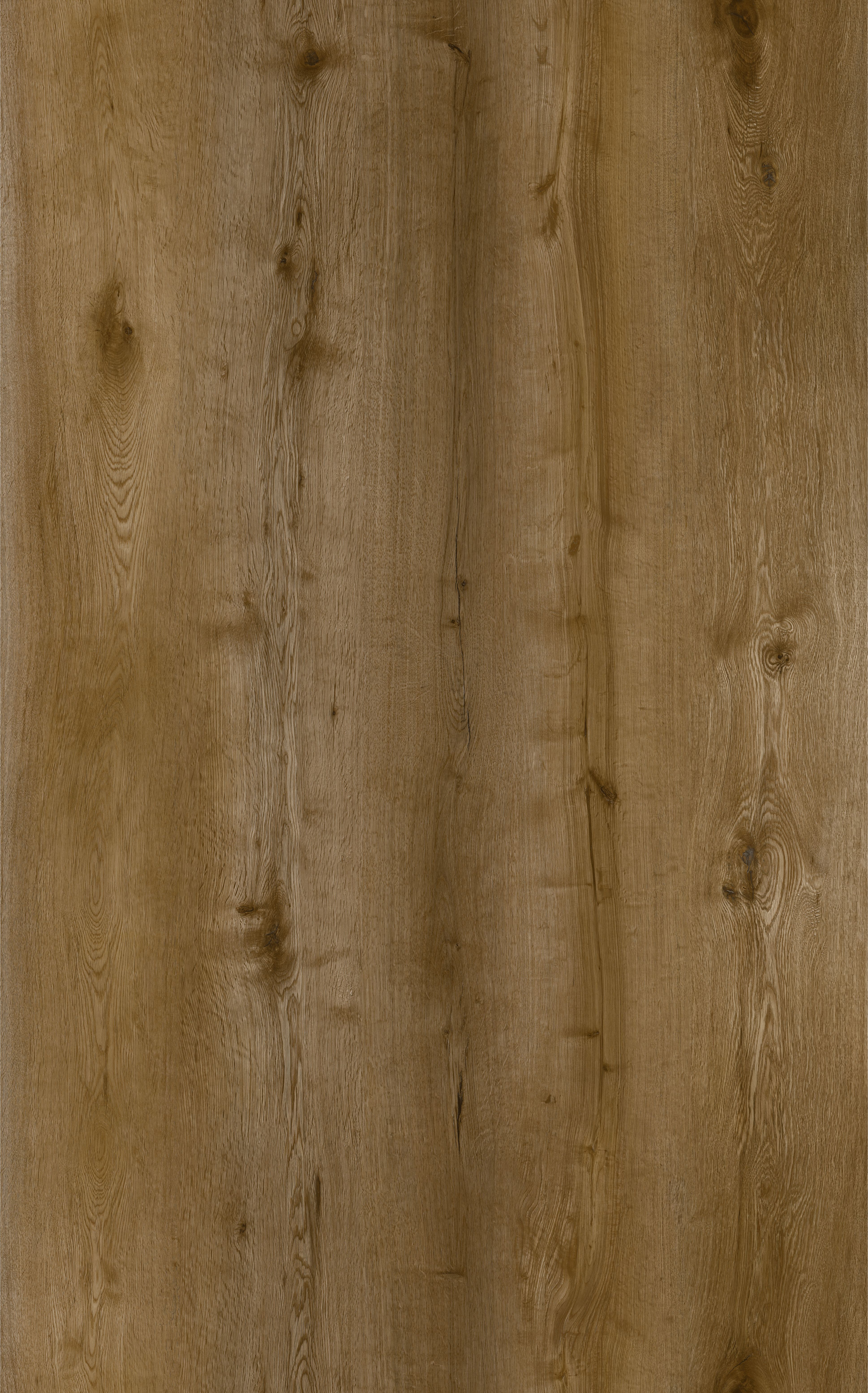 Honey Rustic Oak detail visual 3