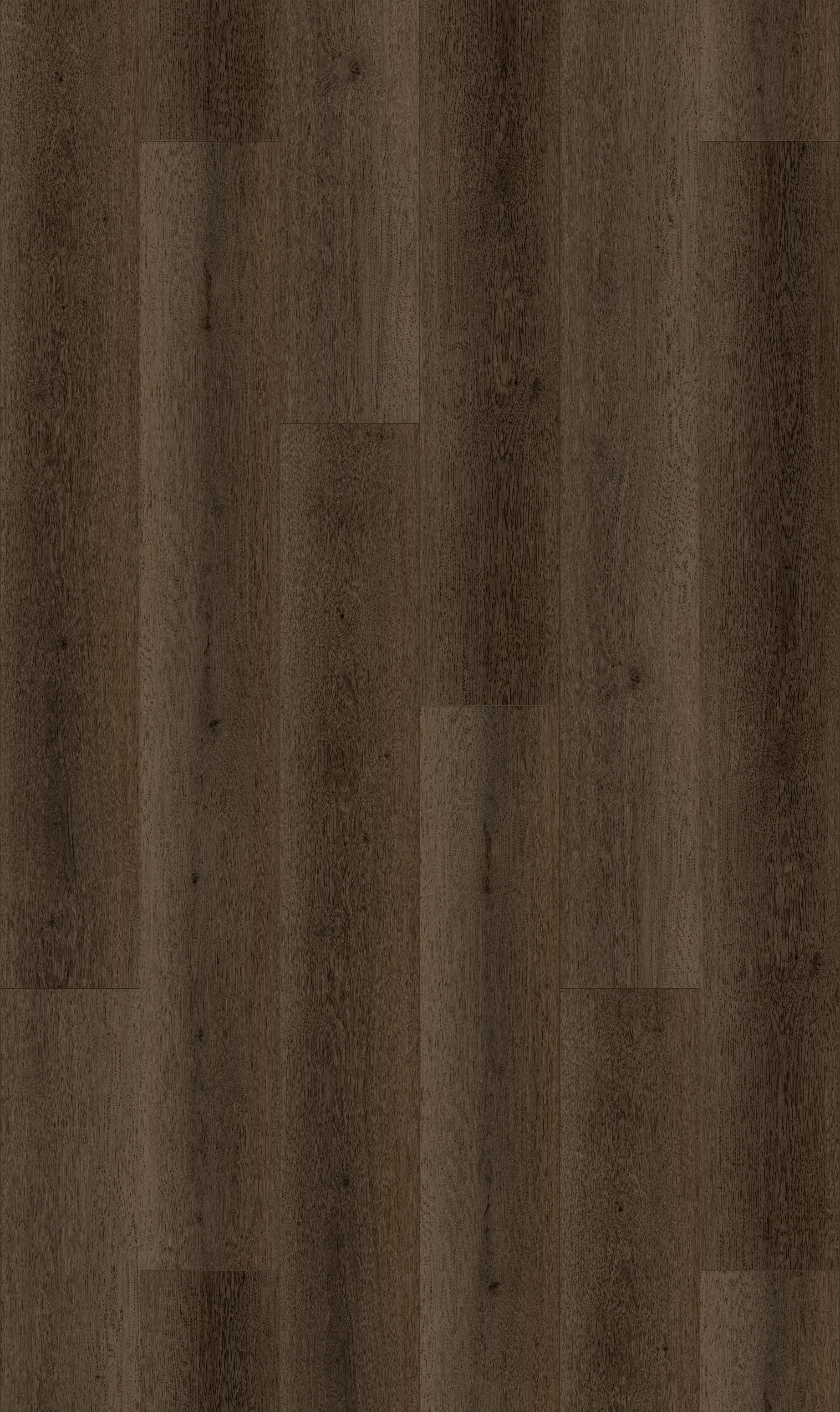 Dark Natural detail visual 4