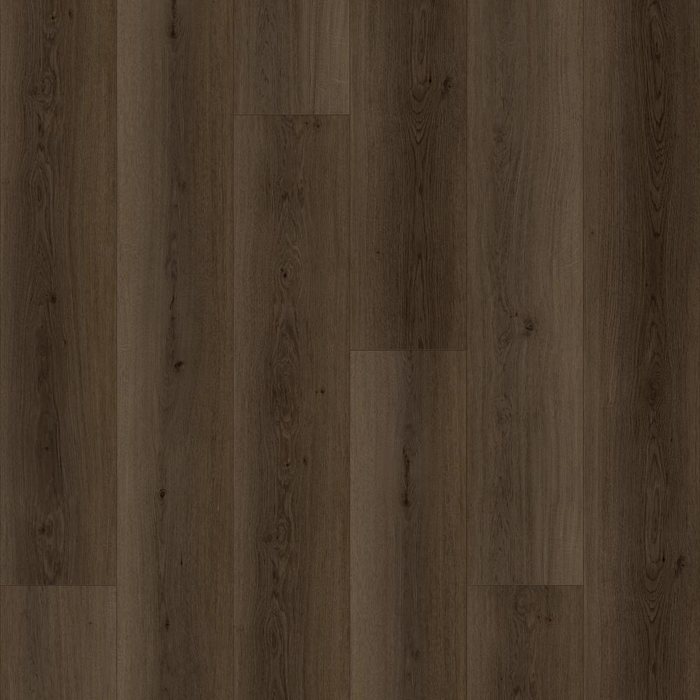 Dark Natural detail visual 4
