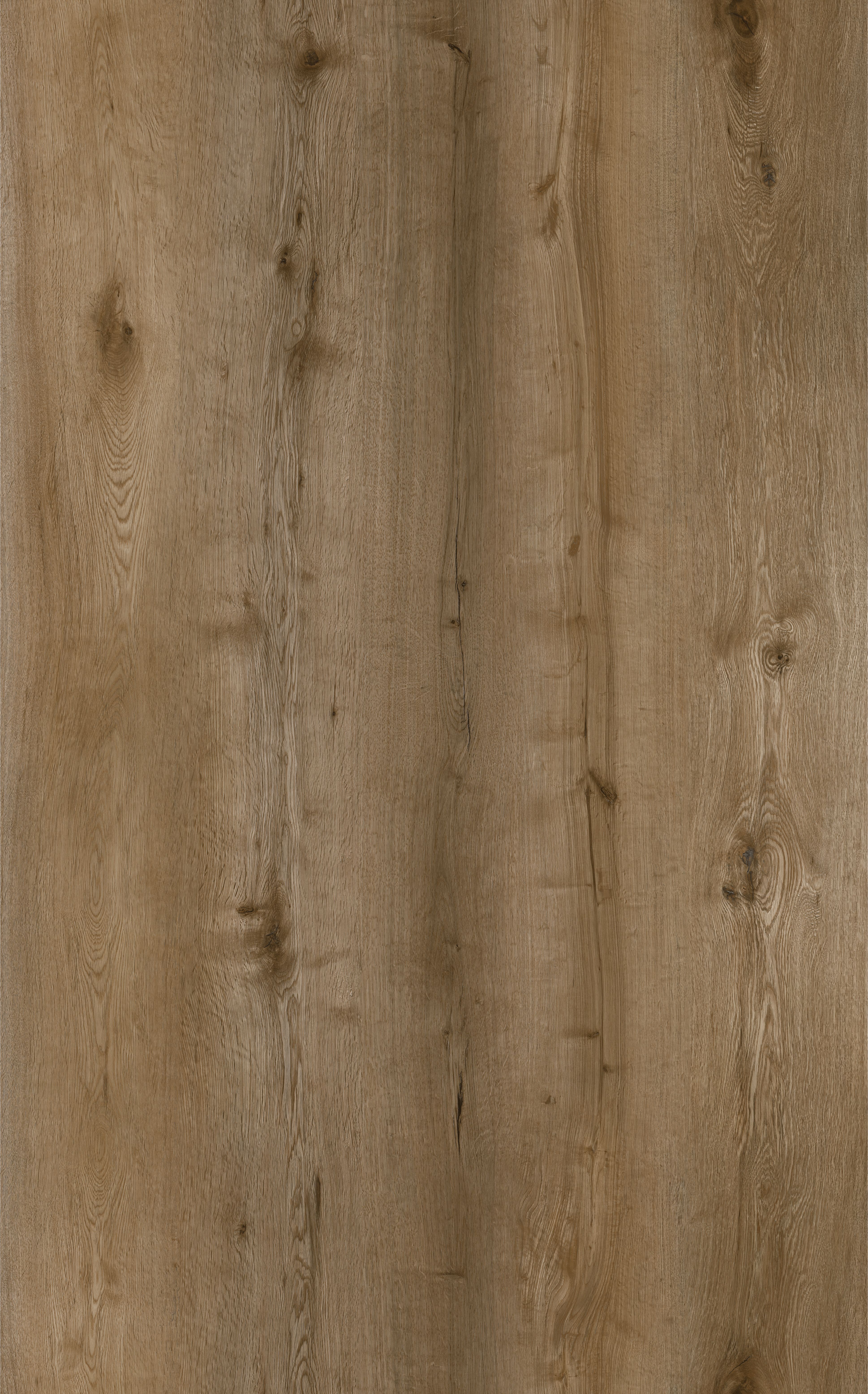 Wheat Rustic Oak detail visual 3