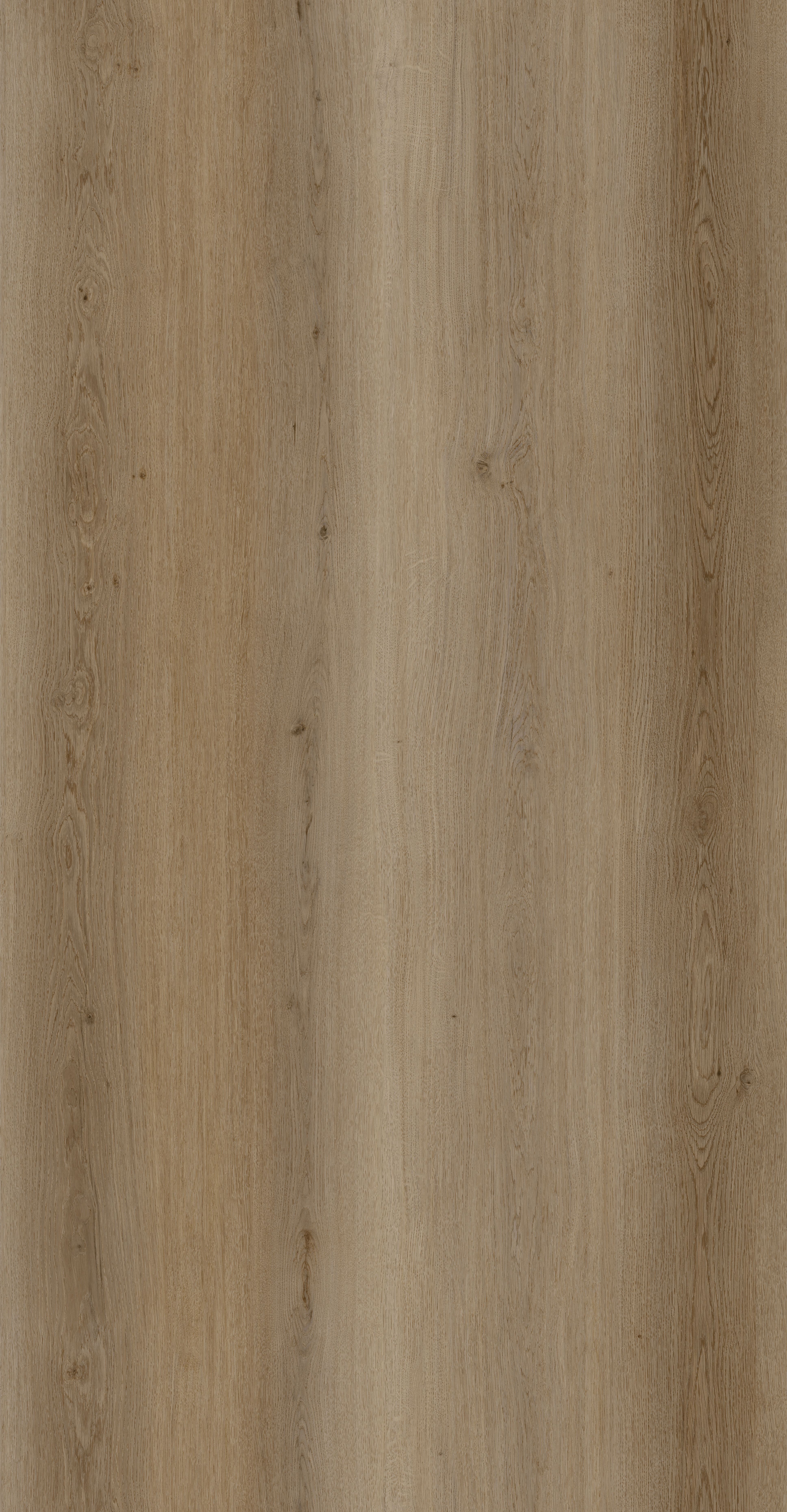 Warm Natural detail visual 3