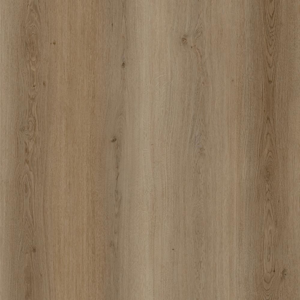 Warm Natural detail visual 3