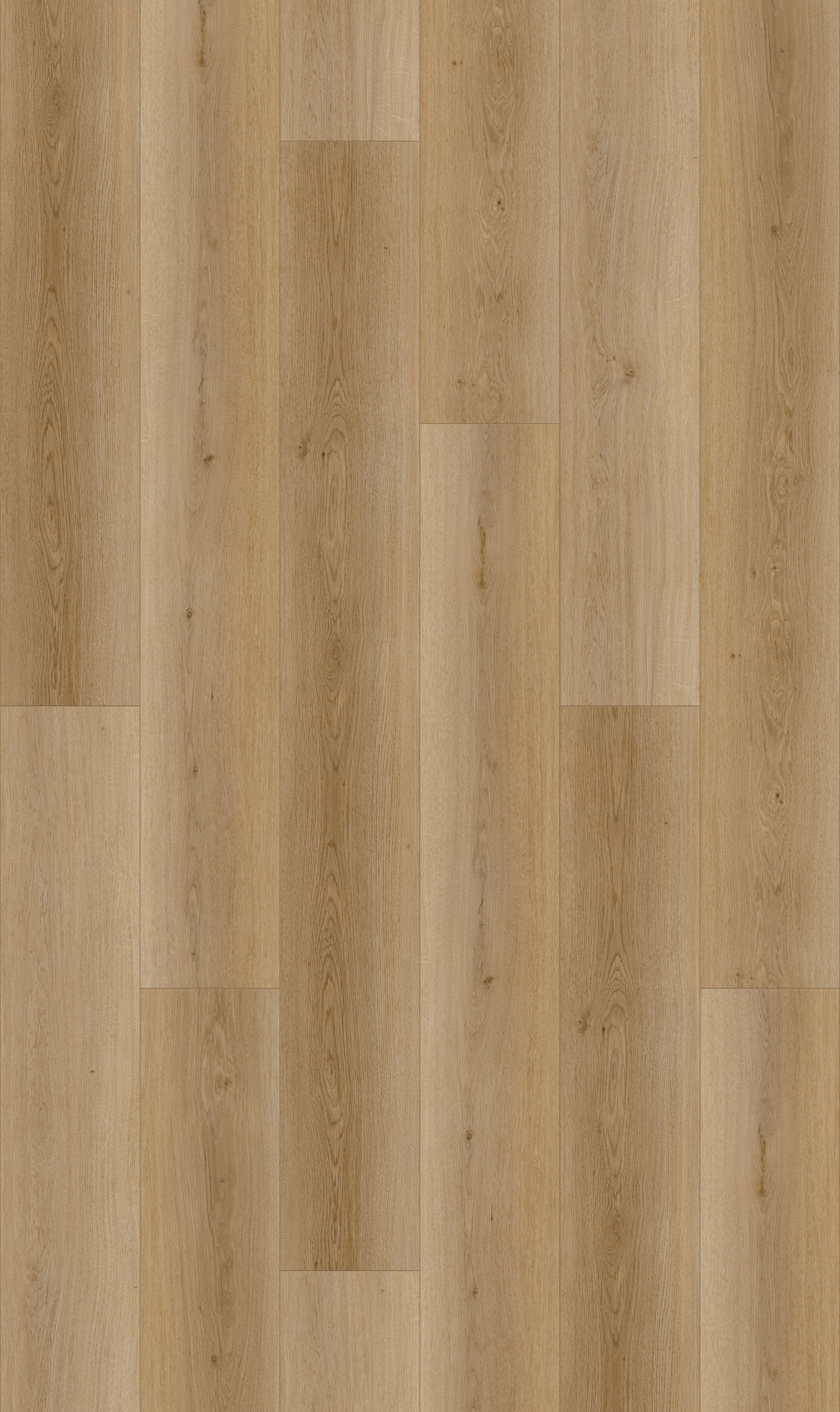 Deep Natural detail visual 4