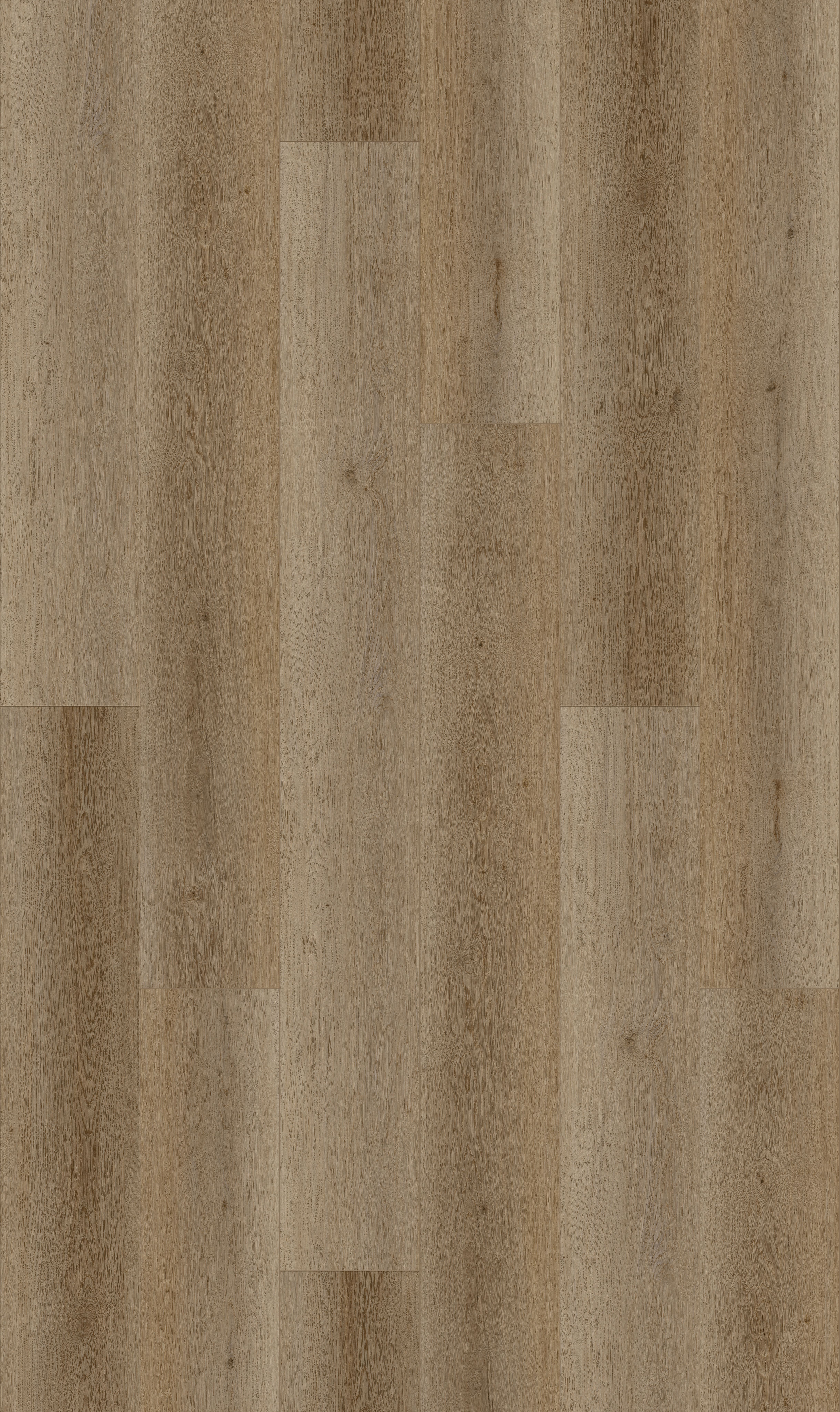 Warm Natural detail visual 4