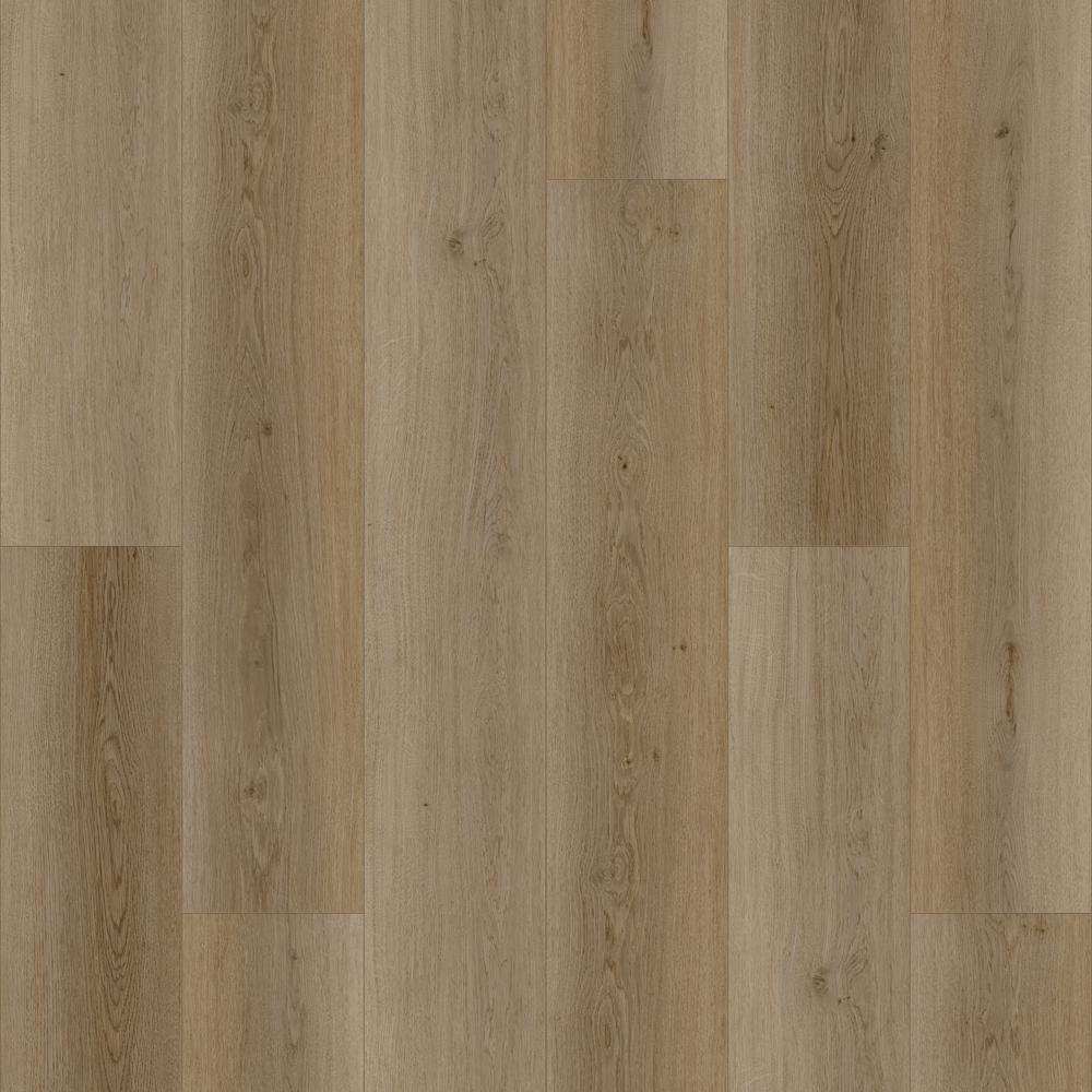Warm Natural detail visual 4