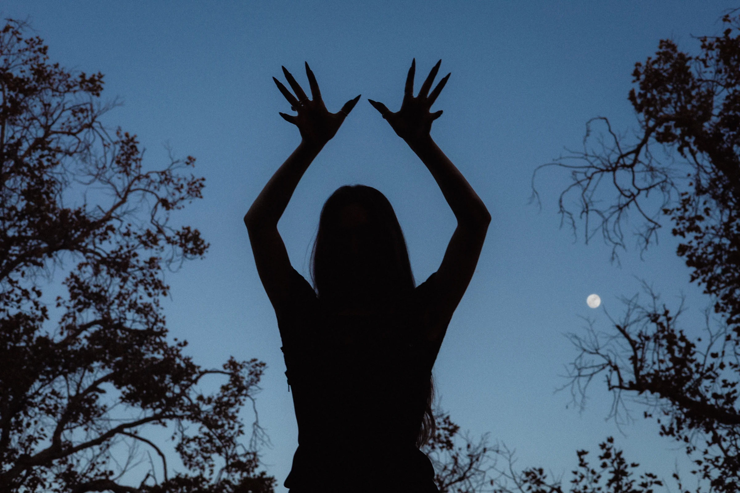 Silhouette of a person with arms raised dramatically against a twilight sky, surrounded by sparse trees and a visible moon, creating a mysterious mood.