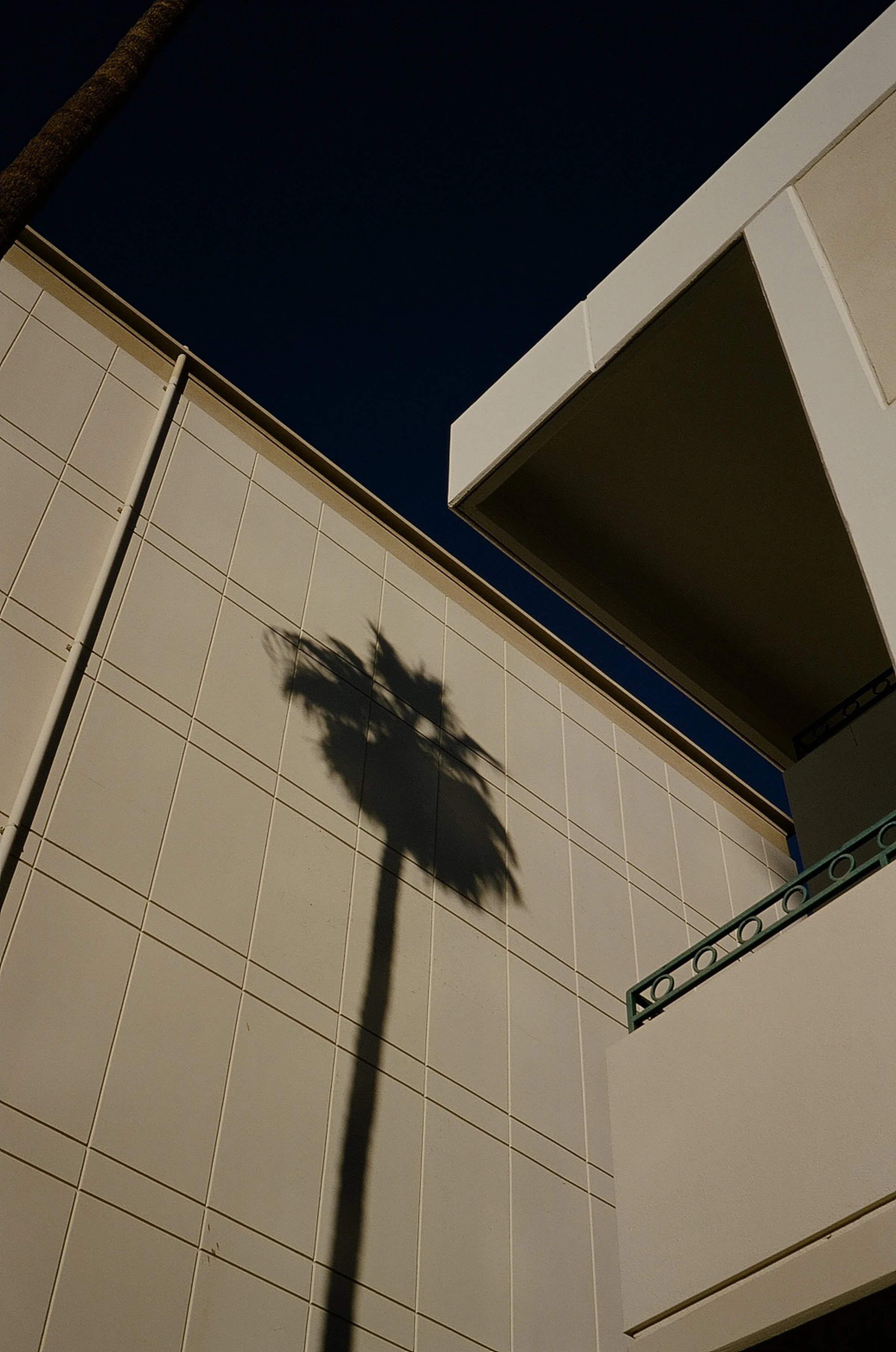 Shadow of a palm tree cast on a white building wall under a clear blue sky, with geometric architecture creating a minimalist, serene scene.