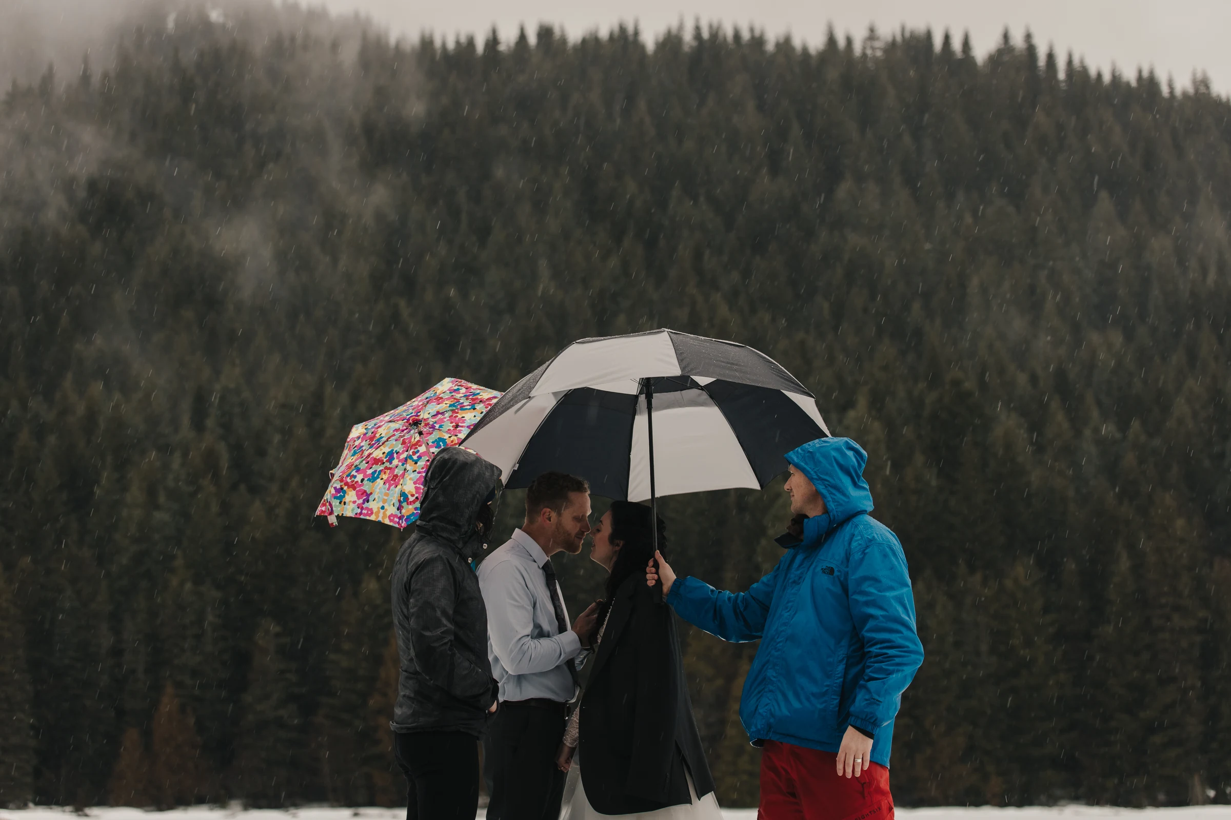 Four people gather under umbrellas in a rain-soaked forest clearing. The scene is intimate and serene, with mist and evergreen trees in the background.