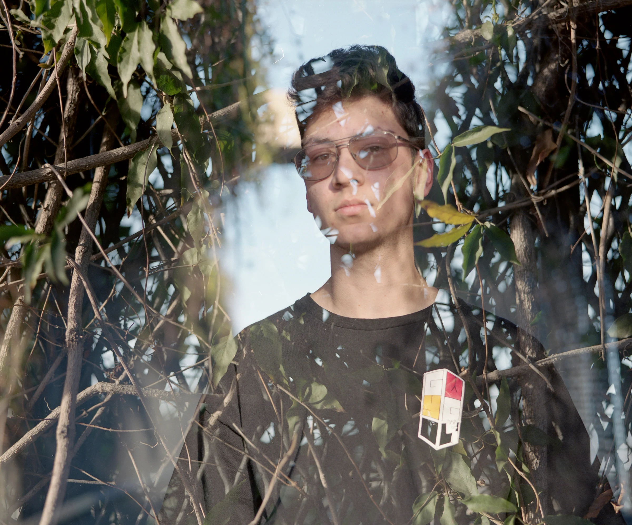 A person wearing sunglasses stands amidst dense greenery, with sunlight filtering through. The expression is calm and thoughtful, creating a serene mood.