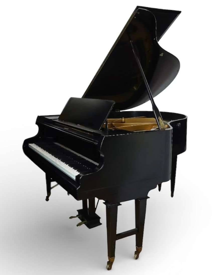 165 cm Grand Piano