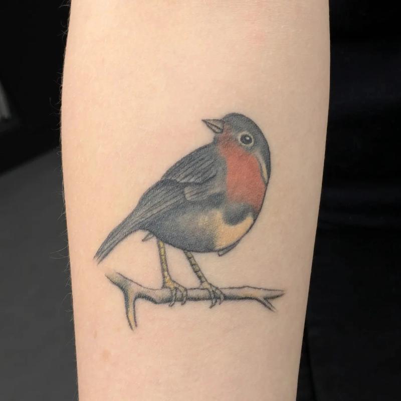 Robin