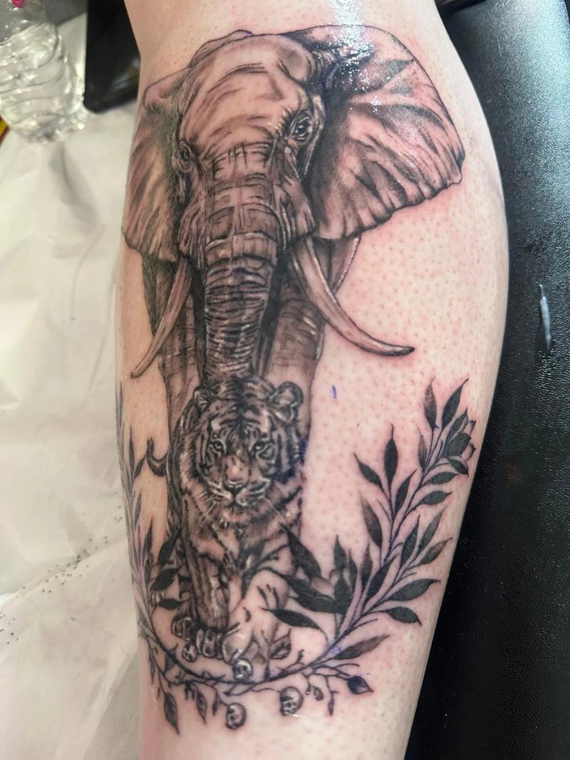 Elephant and tiger