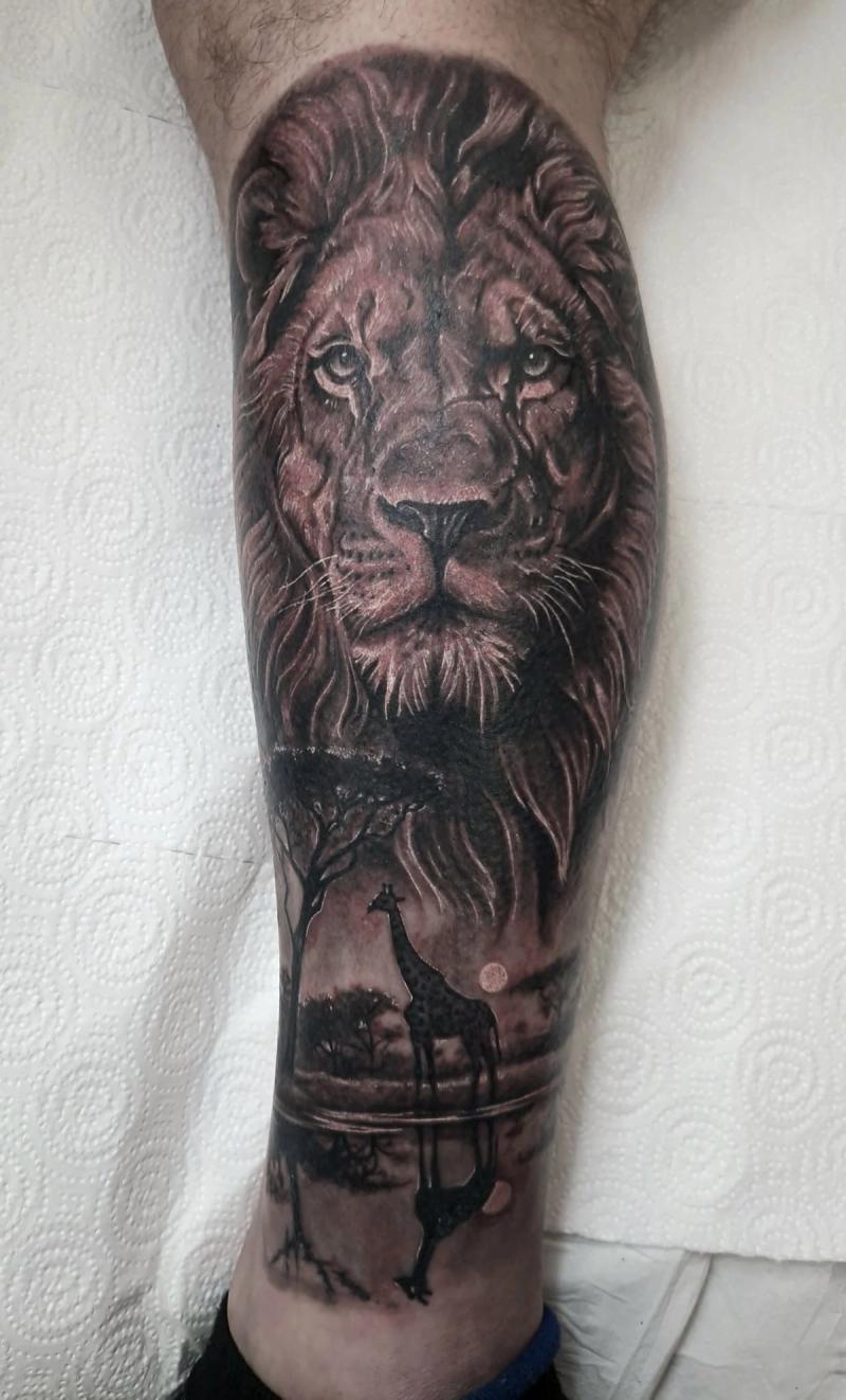 Lion
