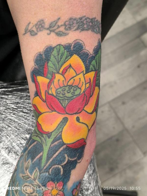 Lotus