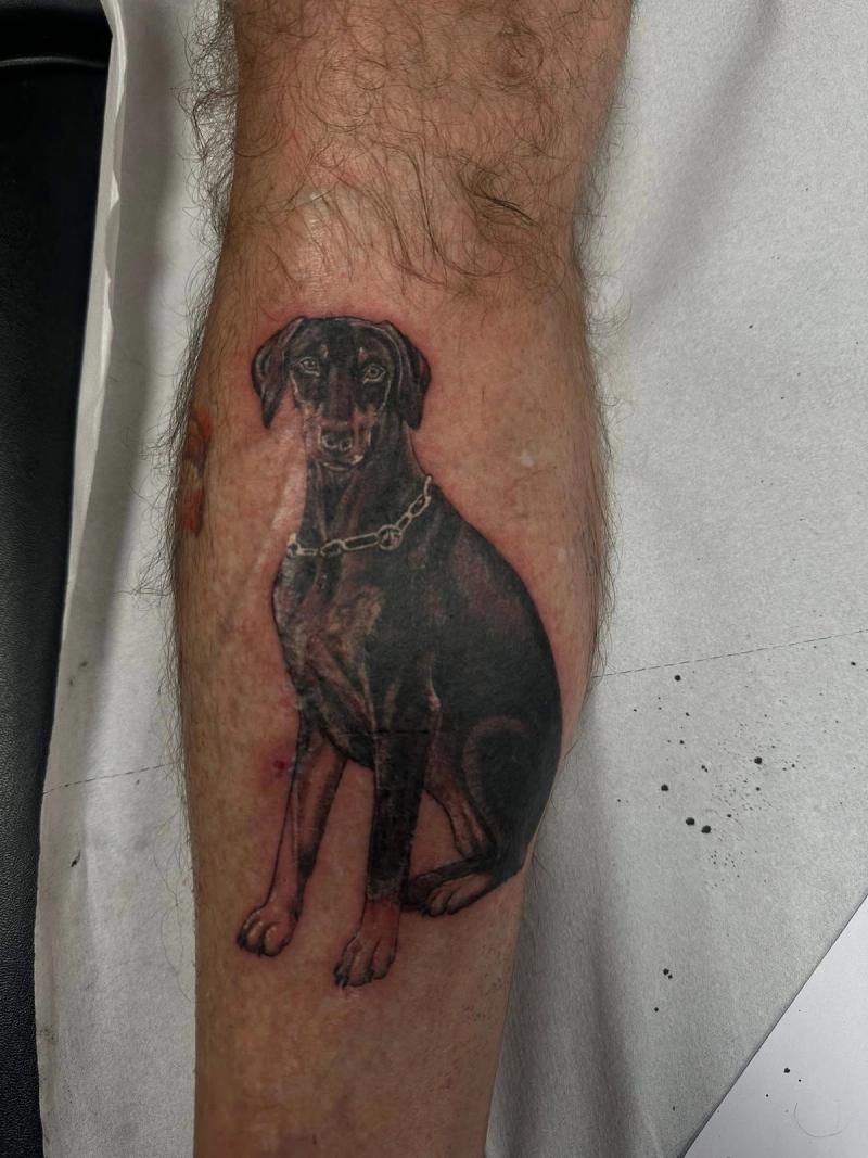 Dog