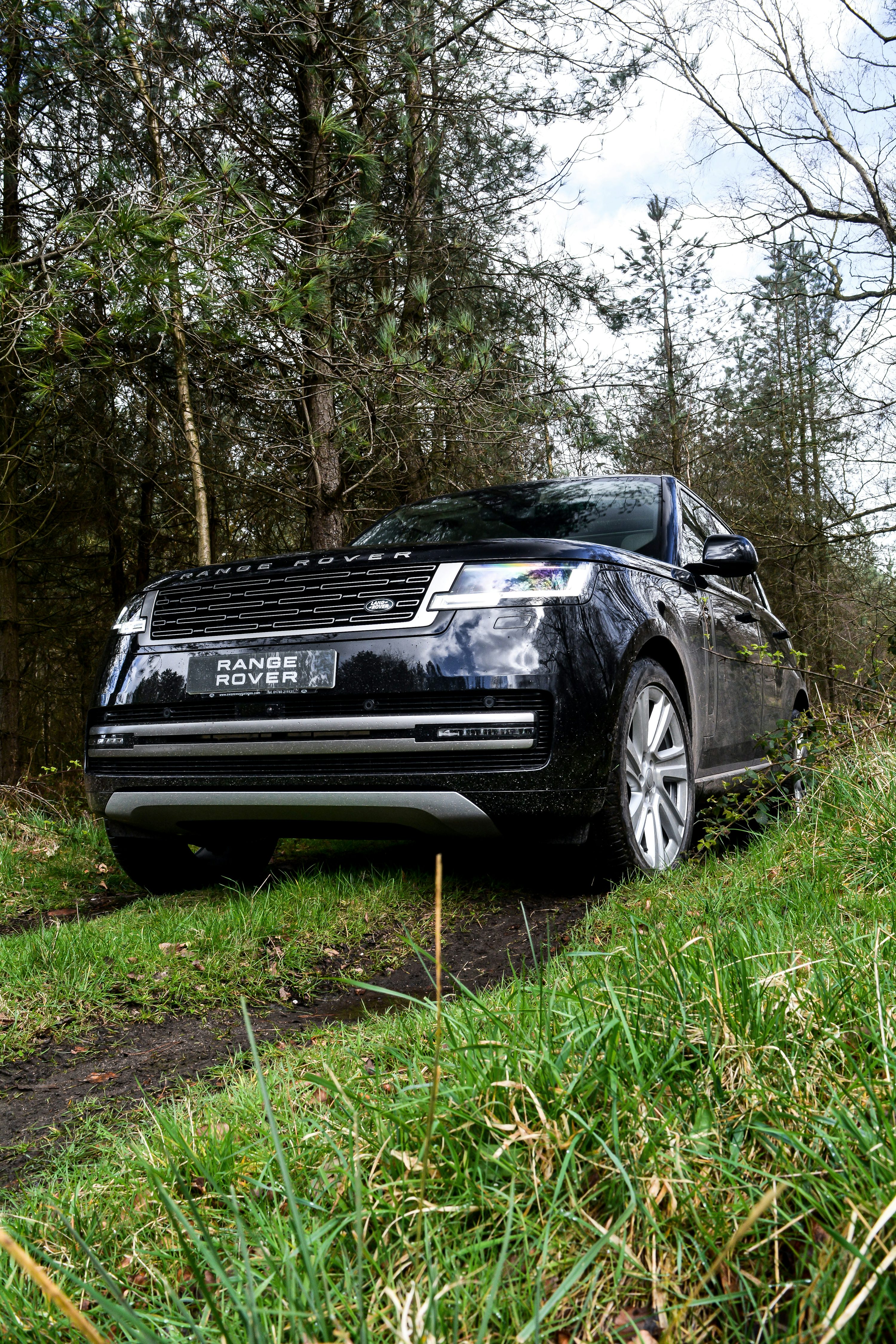 Dark Range Rover parked on a grassy woodland track, seen from a low front three-quarter angle.