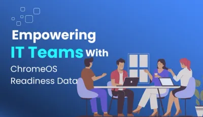 Managing Whitelisted Domains for a Safer Enterprise Browsing Environment