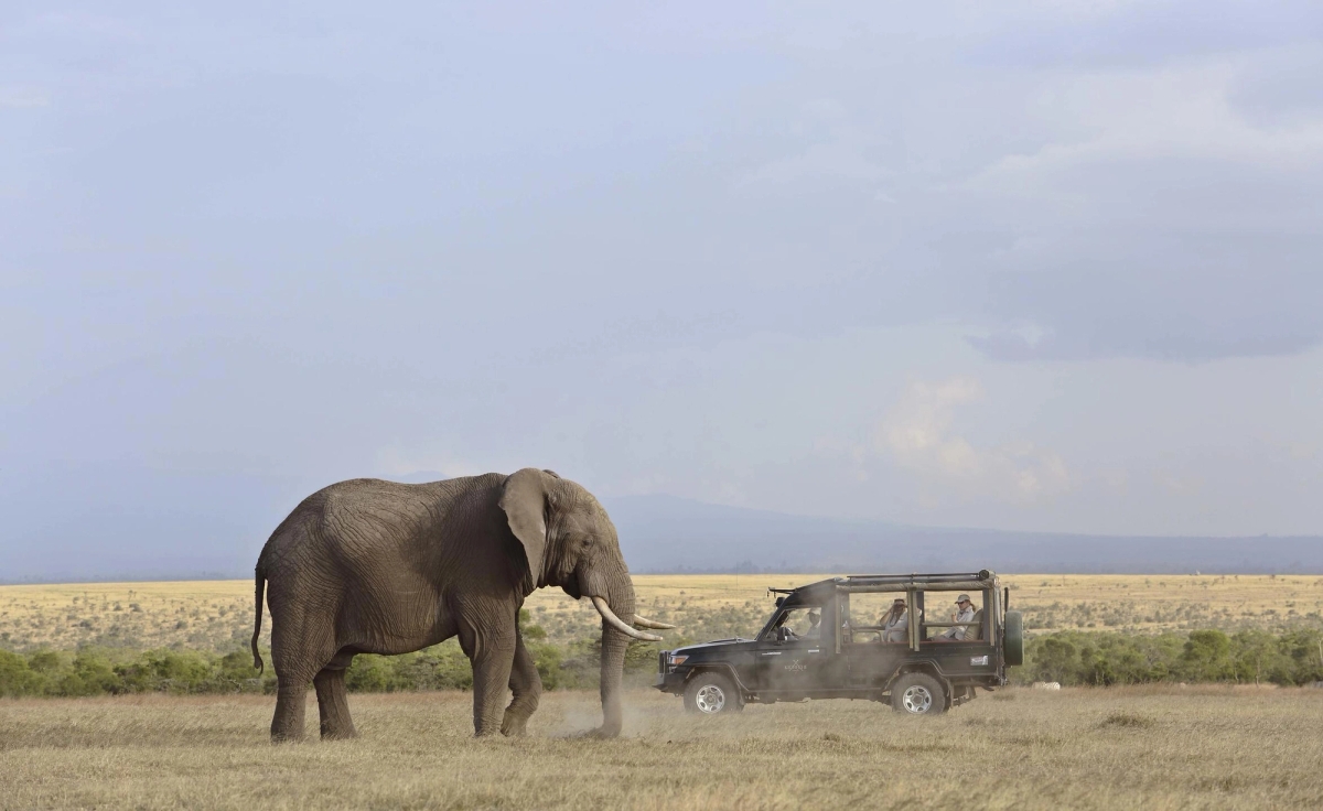 Parque Nacional Molé – Wikipédia, a enciclopédia livre, image size:1200x736