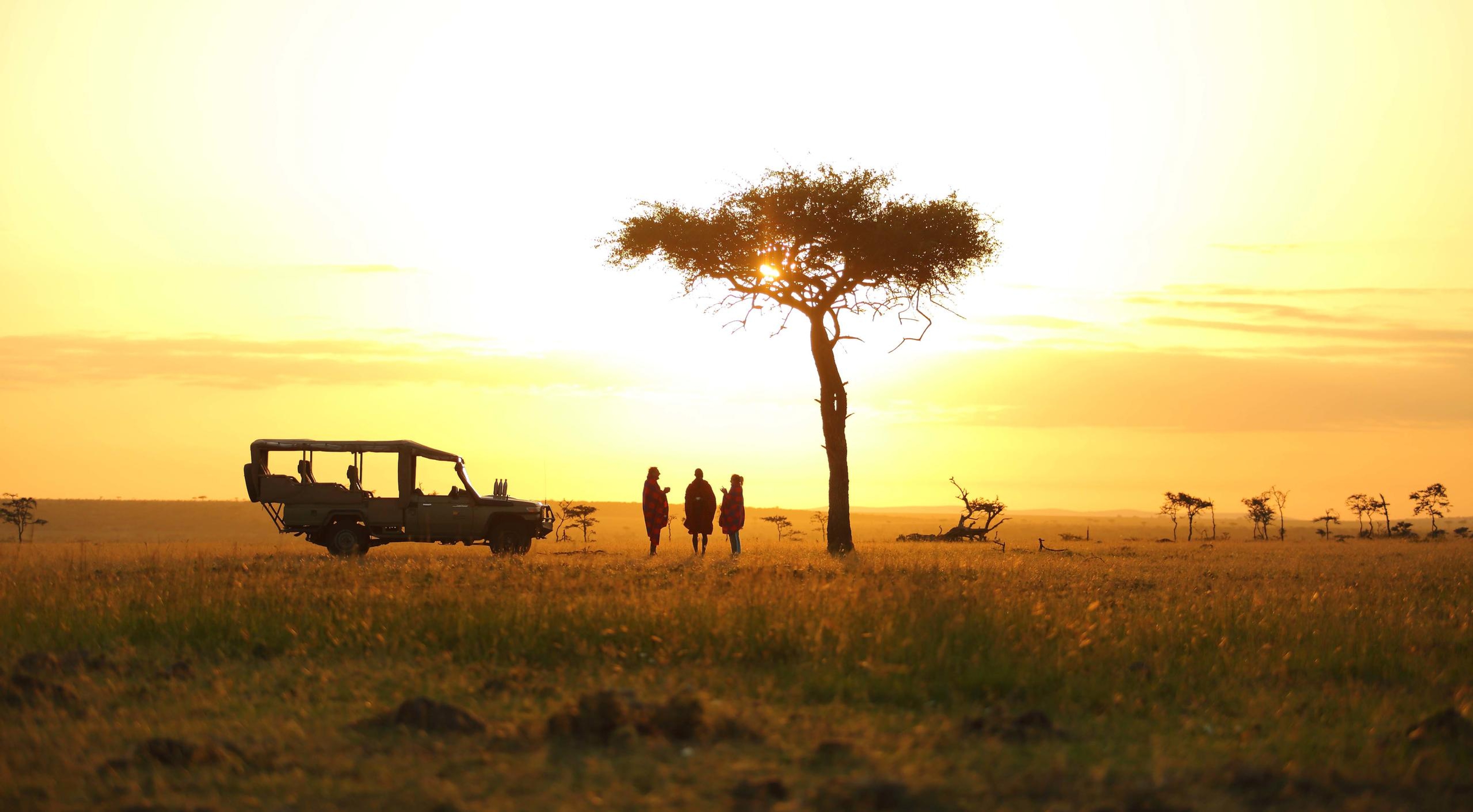 Kenya vs Tanzania vs South Africa: Which African Safari Destination Is Best  for You?