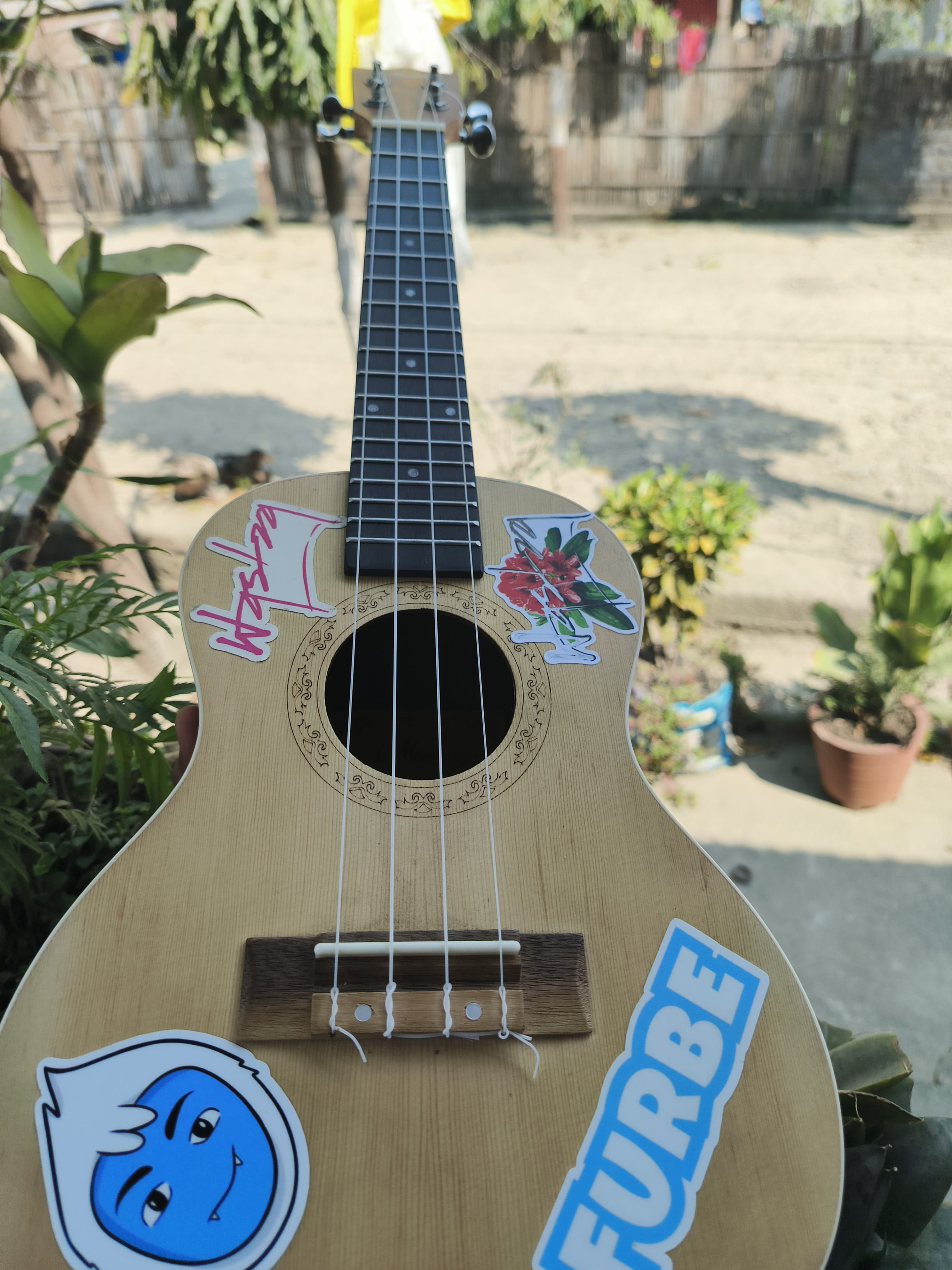 My Ukulele