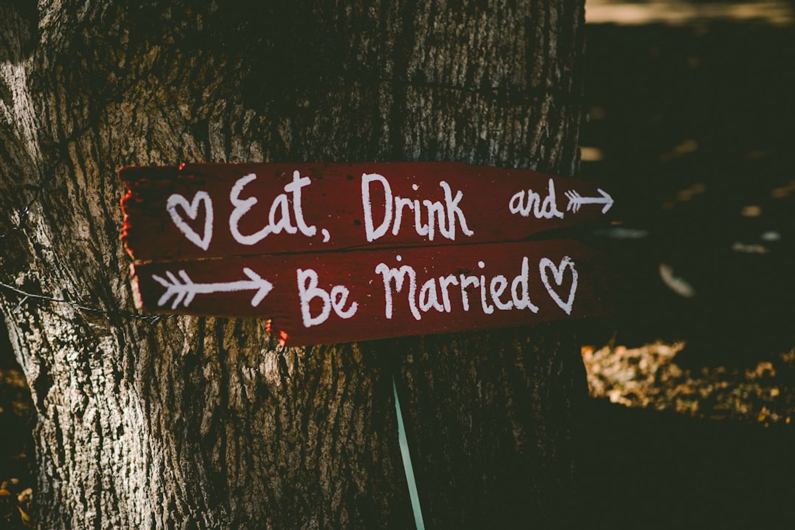 Wooden sign attached to a tree reads Eat Drink and Be Married with arrows.