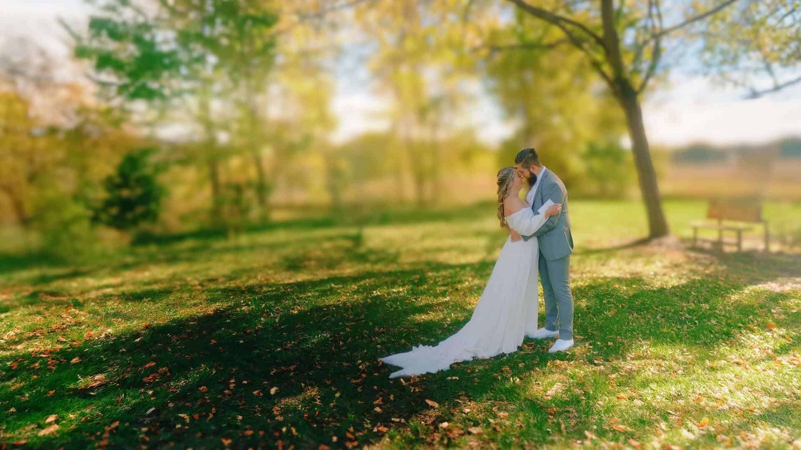 Couple standing together beneath a tree in a sunlit grassy landscape.