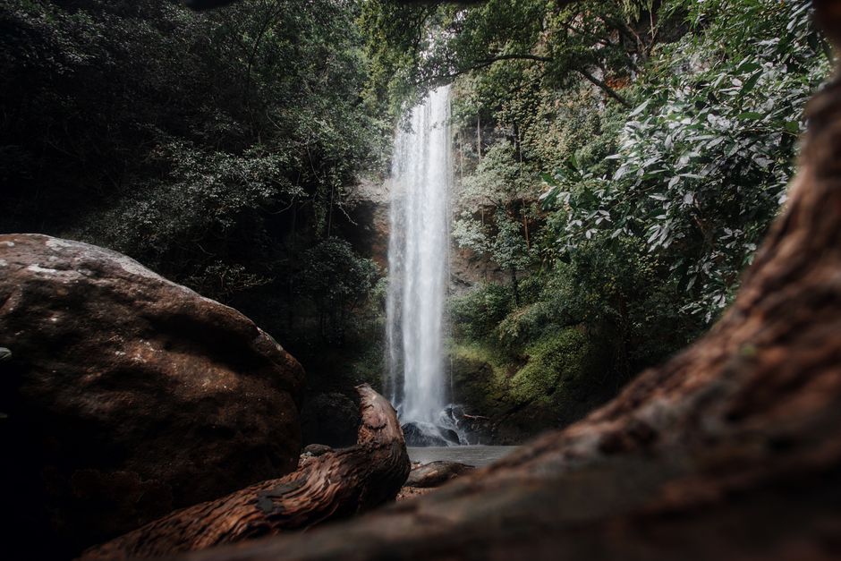 Forest Waterfall Waterfall flowing into a shaded rocky pool surrounded by dense greenery.