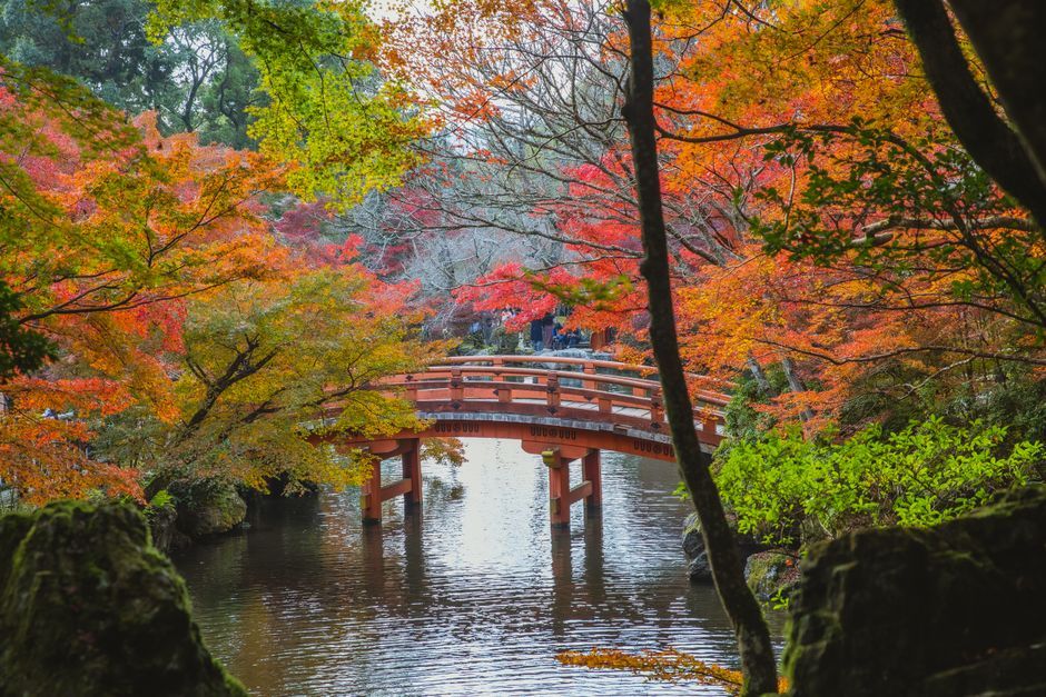 Autumn Garden Red and orange autumn trees surround a pond and small arched bridge.