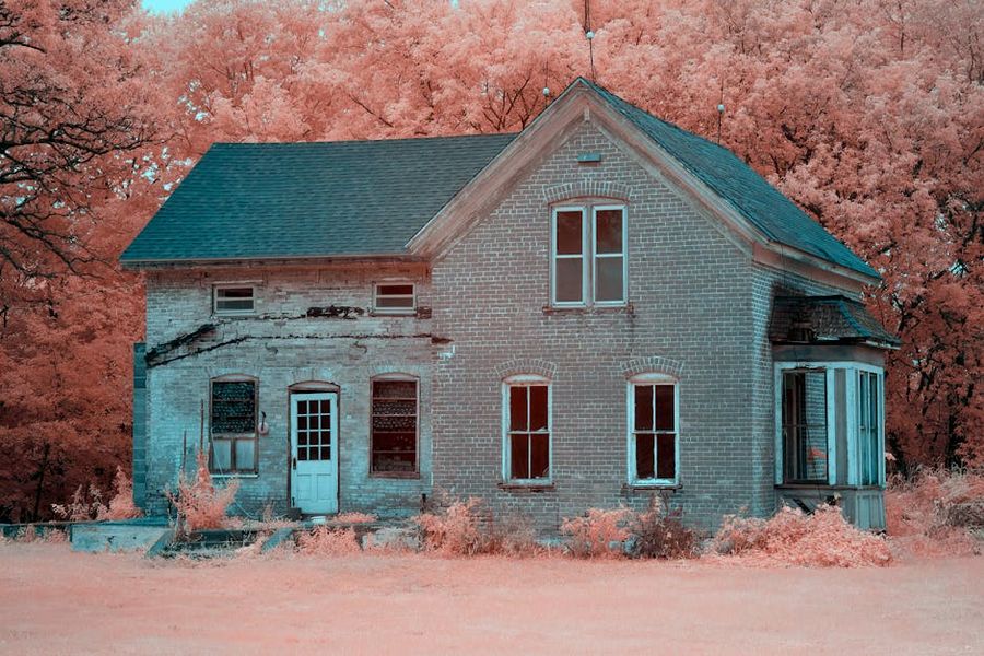 Brick House in Bloom Weathered brick house surrounded by pink flowering trees.