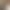 Preview Website of Stephanie Thatenhorst