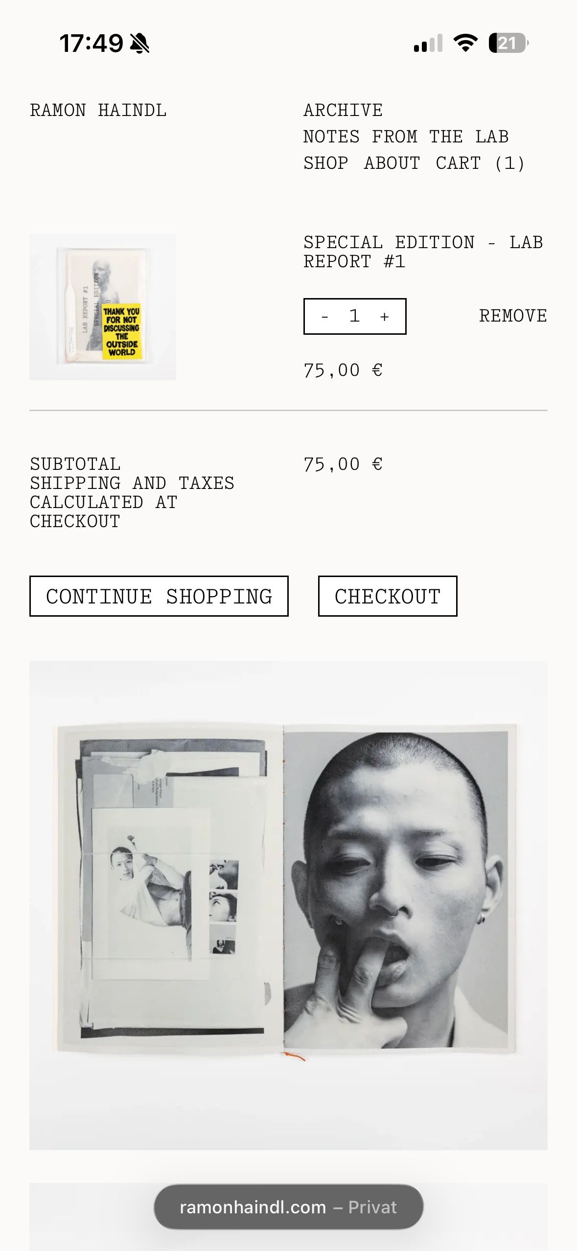 Preview Website of Ramon Haindl