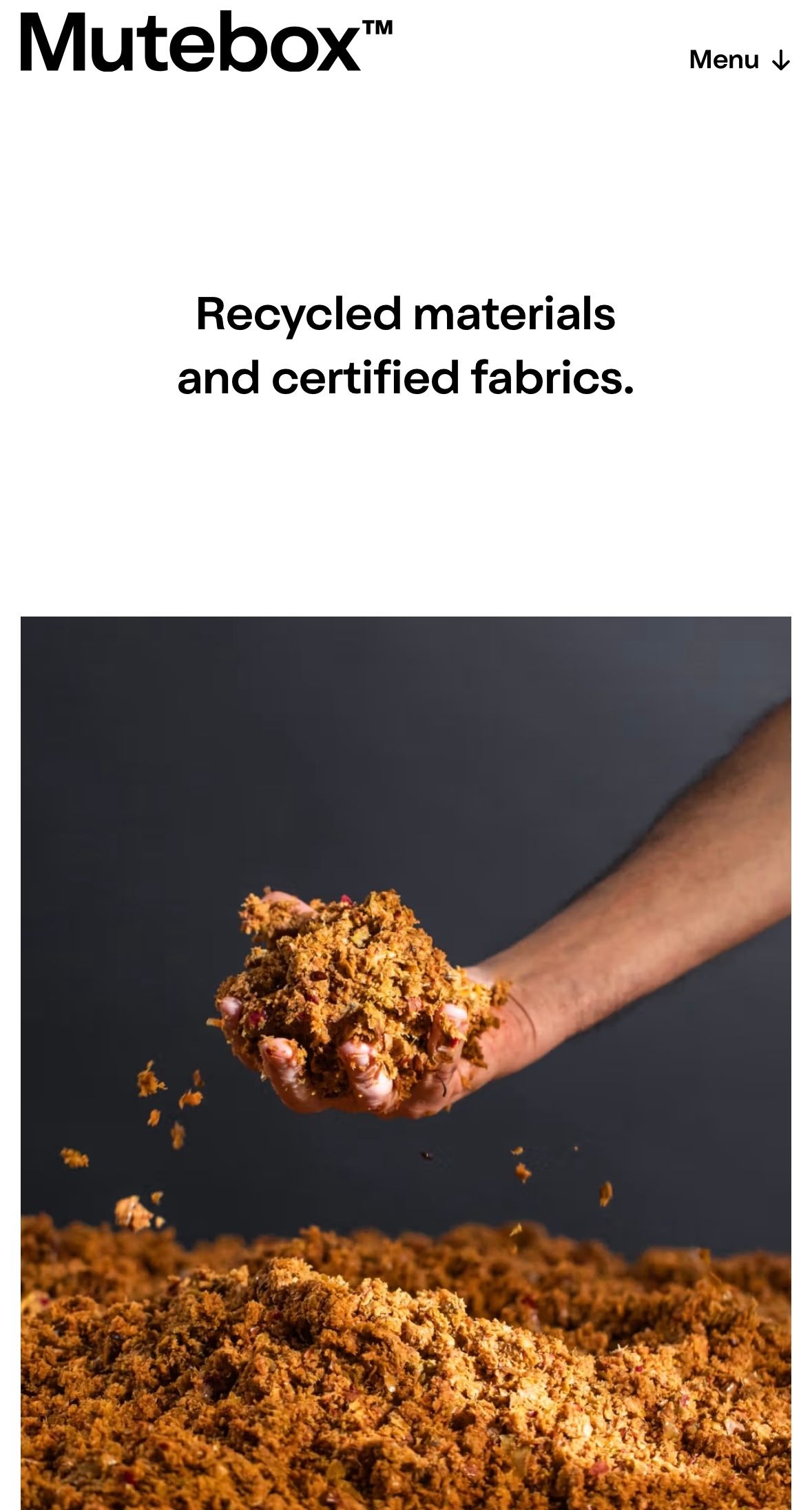 Preview Website of Mutebox