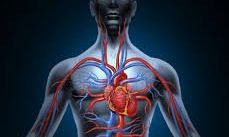 Improving Blood Circulation During Quarantine