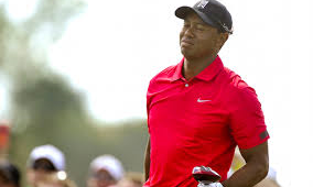 tiger woods