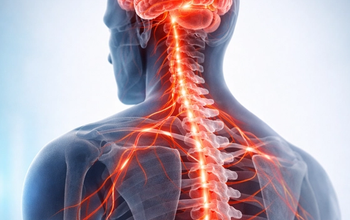 3D medical render of the brain and spine with glowing nerve pathways showing how chronic back pain is driven by nervous system sensitization rather than structural damage.