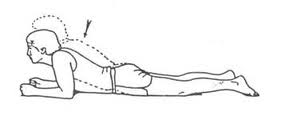 Elbow Prone Press Up