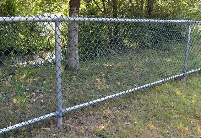 A chain-link fence runs along a grassy area, with trees and dense foliage in the background on a sunny day.